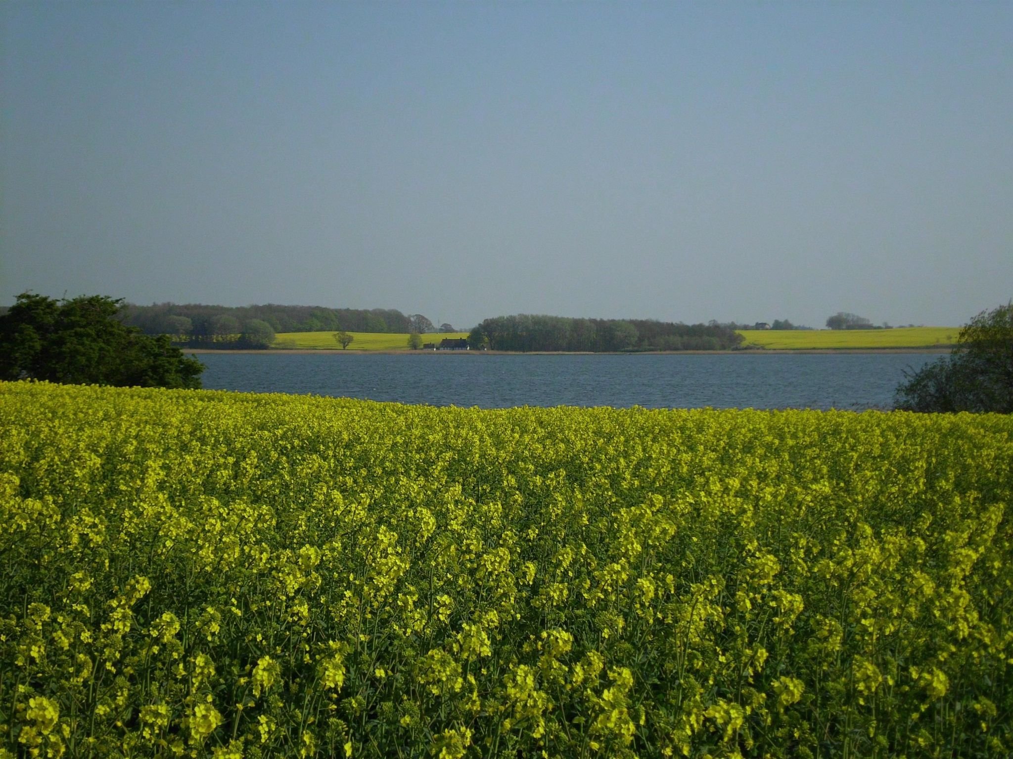 In Kappeln mit Großem Balkon-Binnen