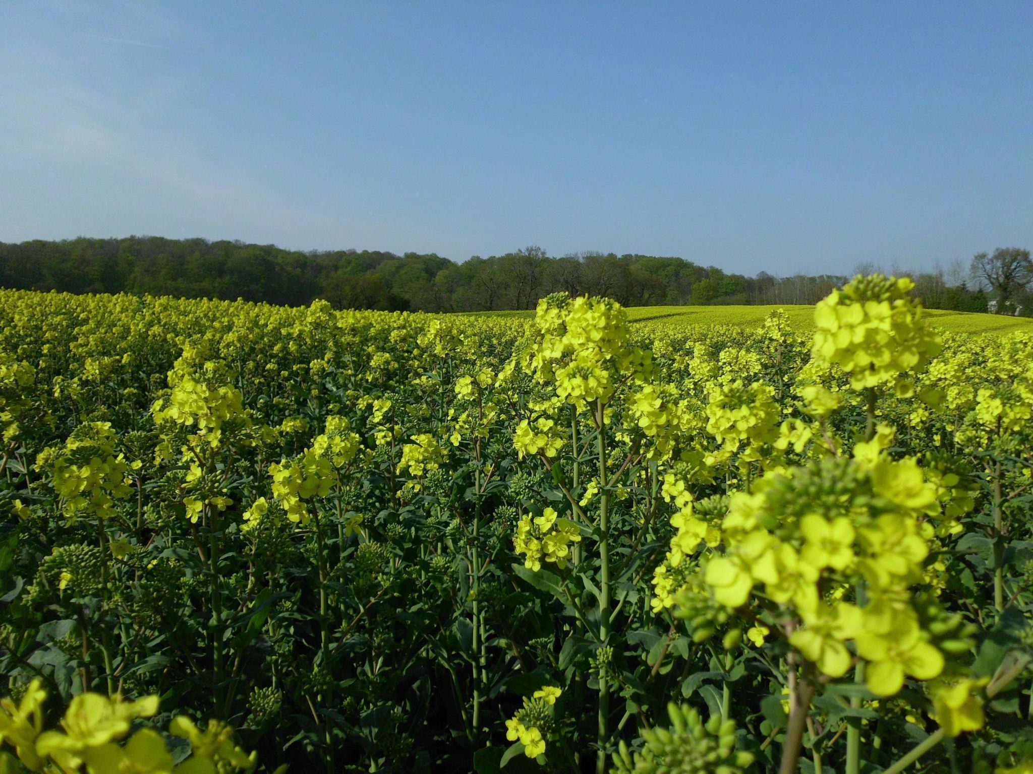 Charmante Fewo mit Großem Balkon-Binnen