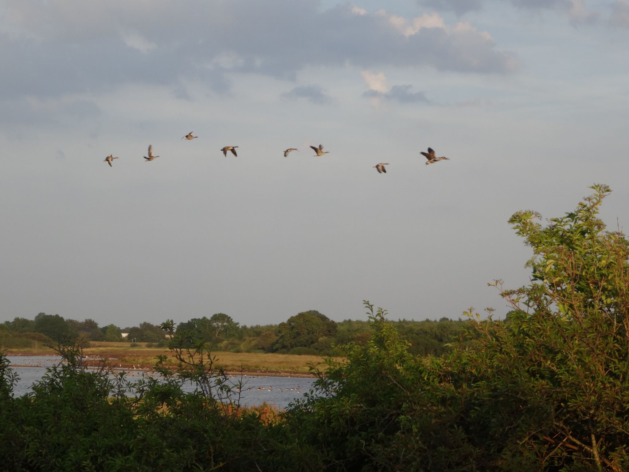 Urlaub am Meer im Ferienhaus mit Sauna-Binnen