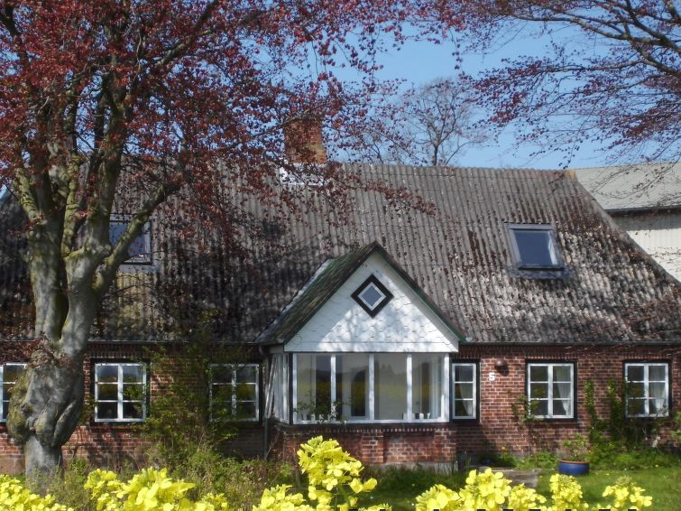 Land-ferienhaus - Hasselberg