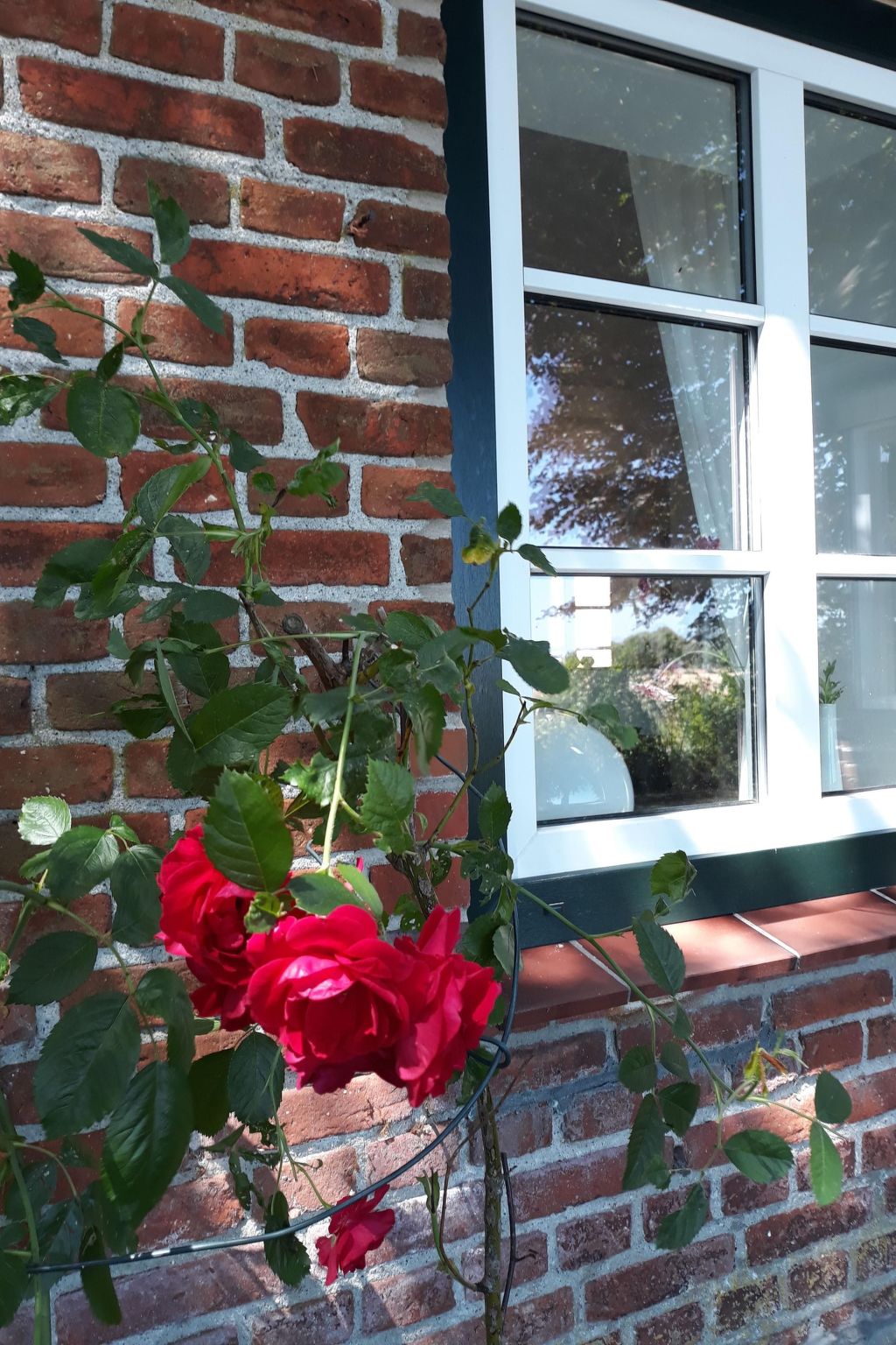 Land-Ferienhaus-Binnen