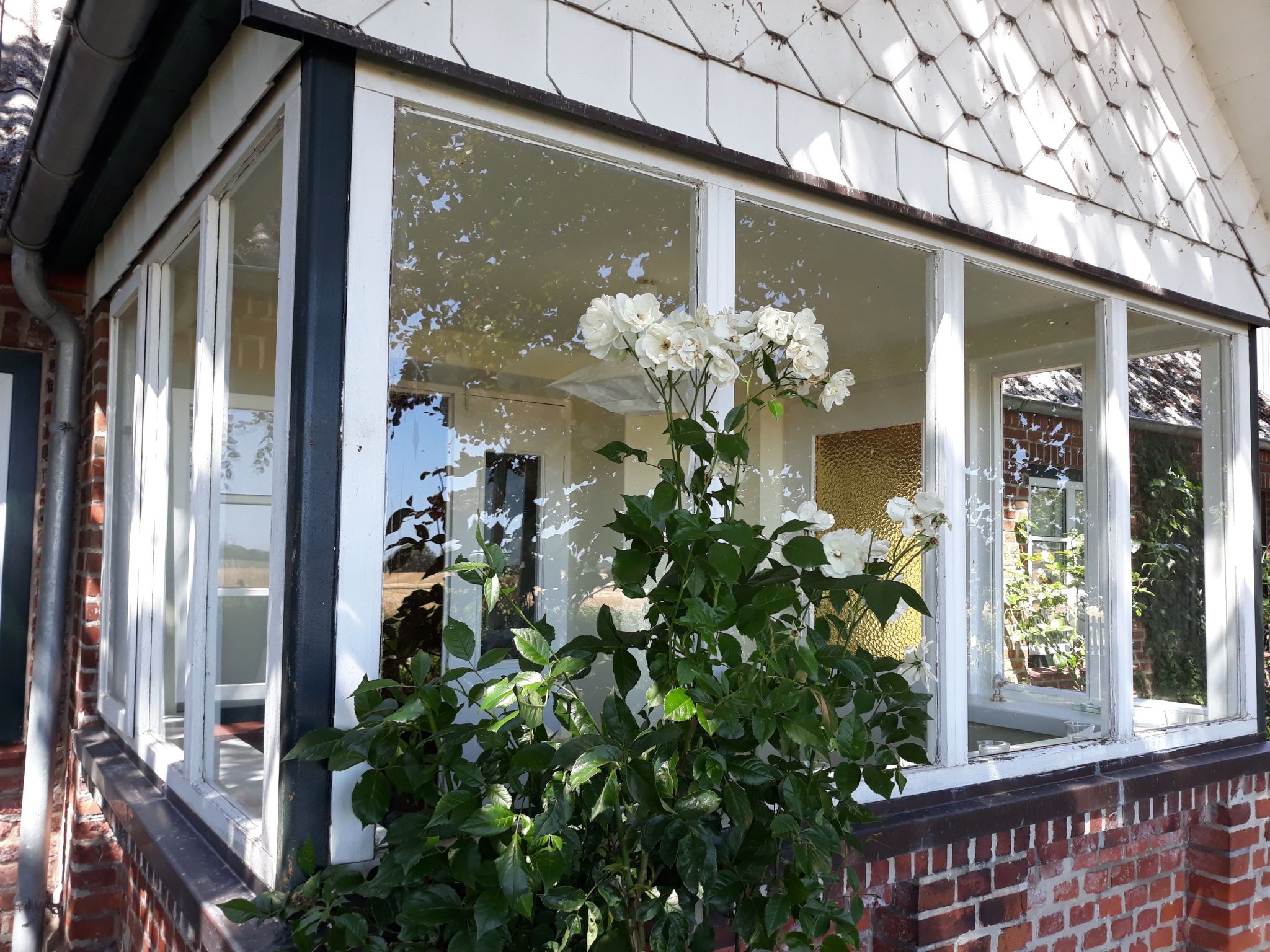 Land-Ferienhaus-Binnen