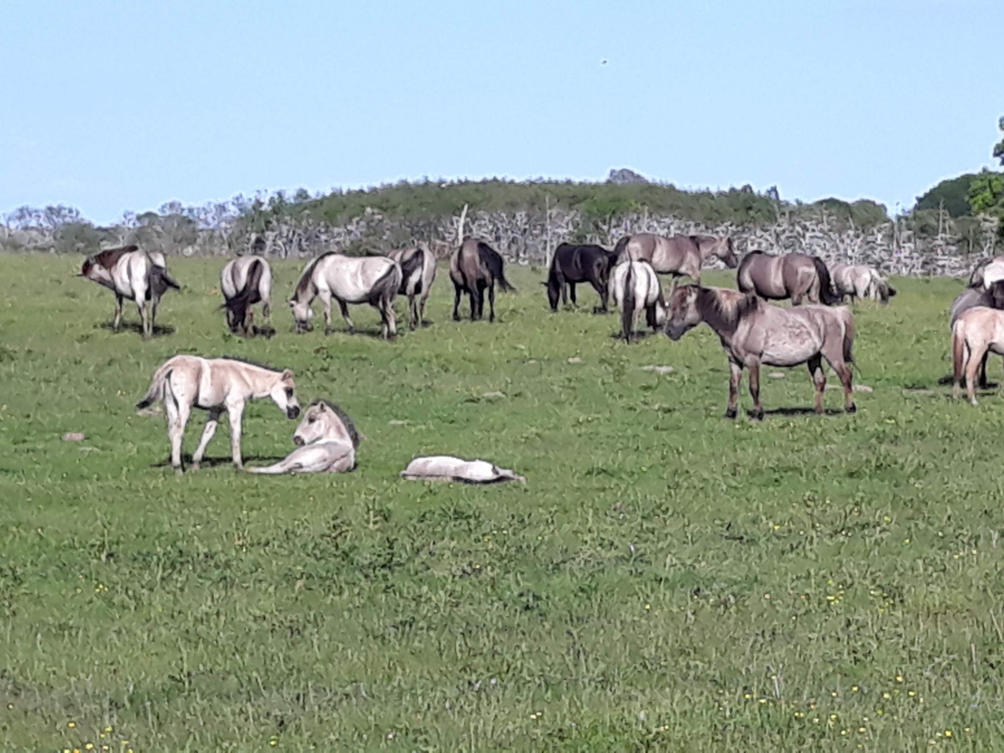 Land-Ferienhaus-Binnen