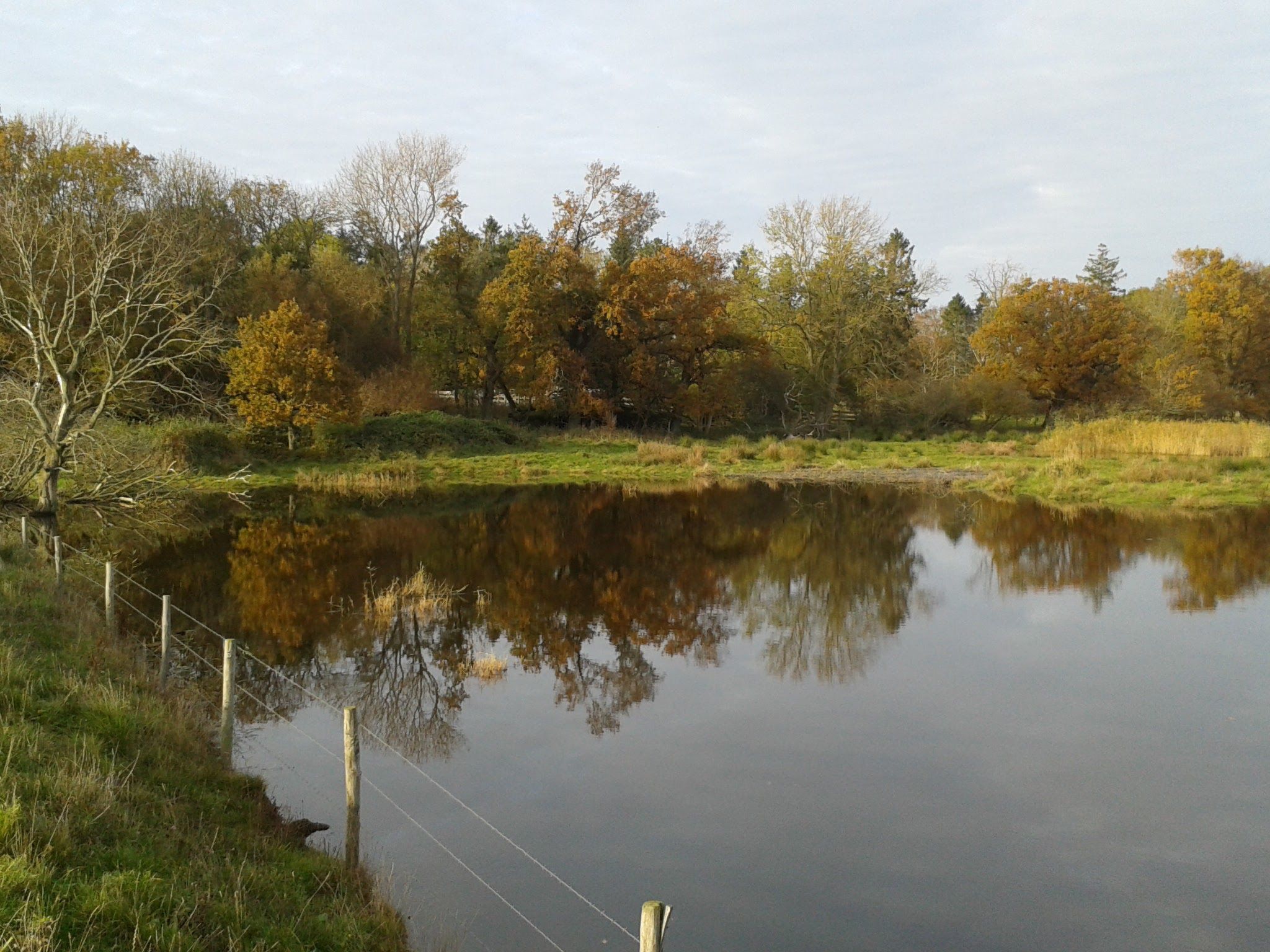 Land-Ferienhaus-Binnen