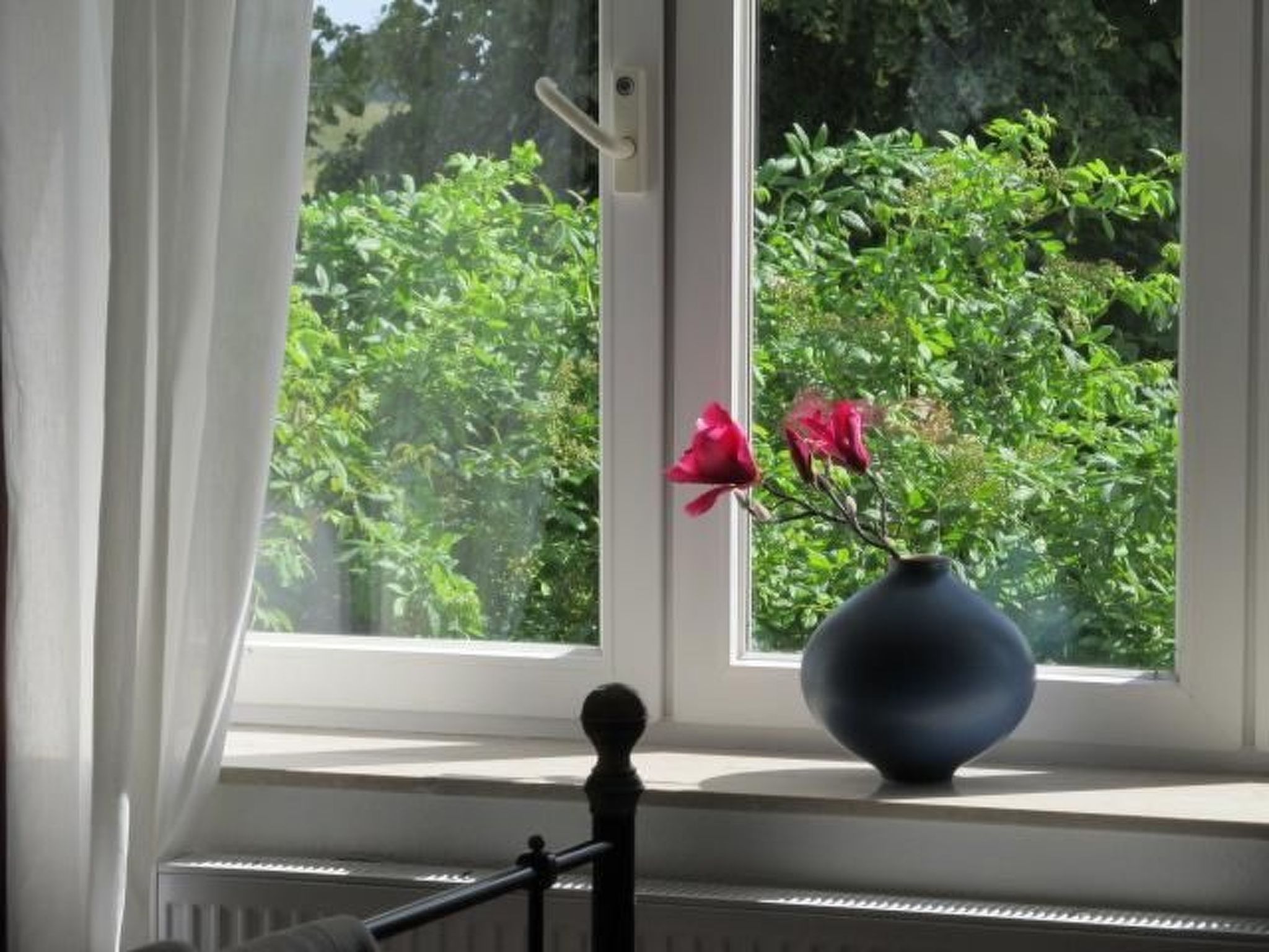 Vogelsang-Image-tags.info