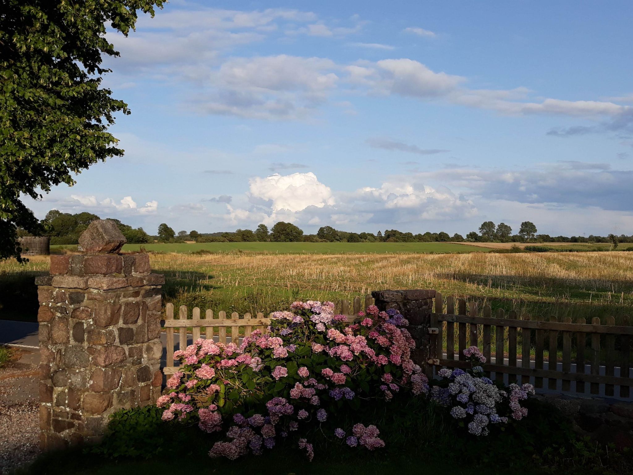 Vogelsang-Image-tags.info