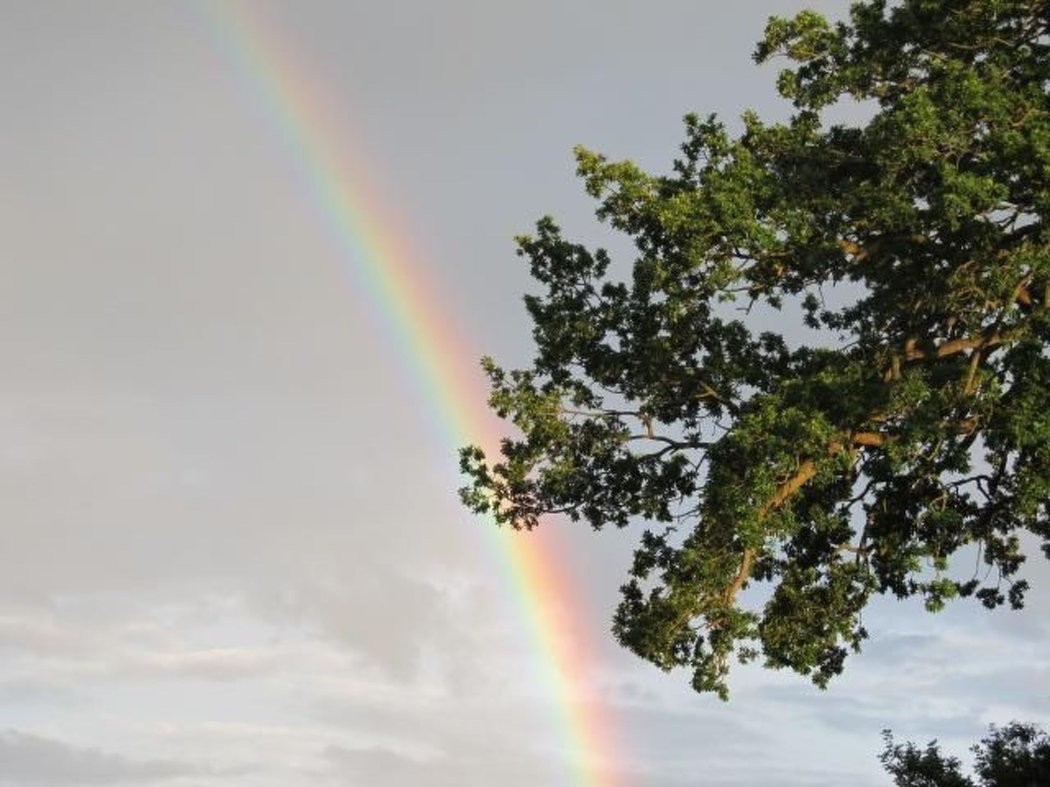 Vogelsang-Image-tags.info