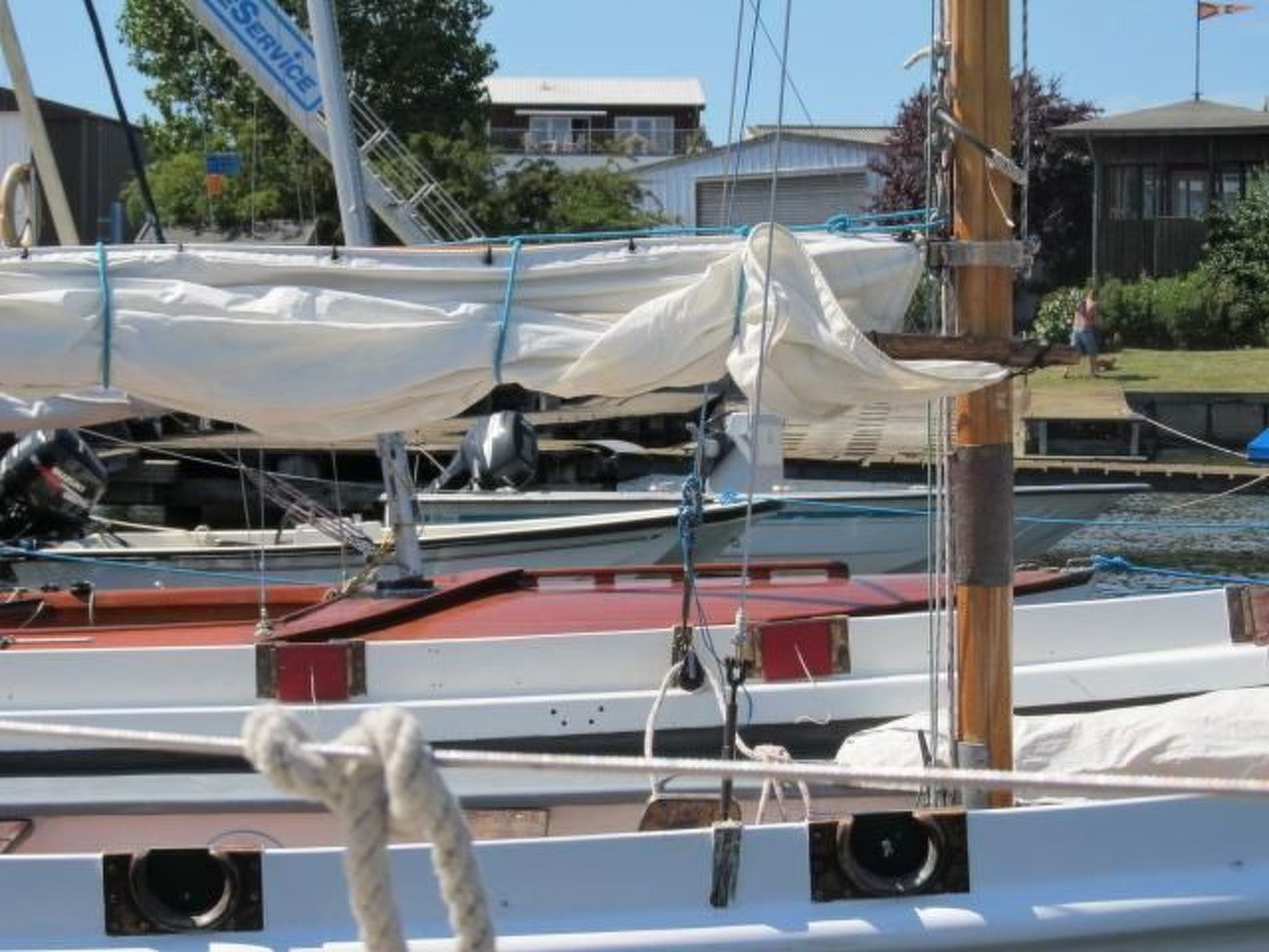 Vogelsang-Image-tags.info