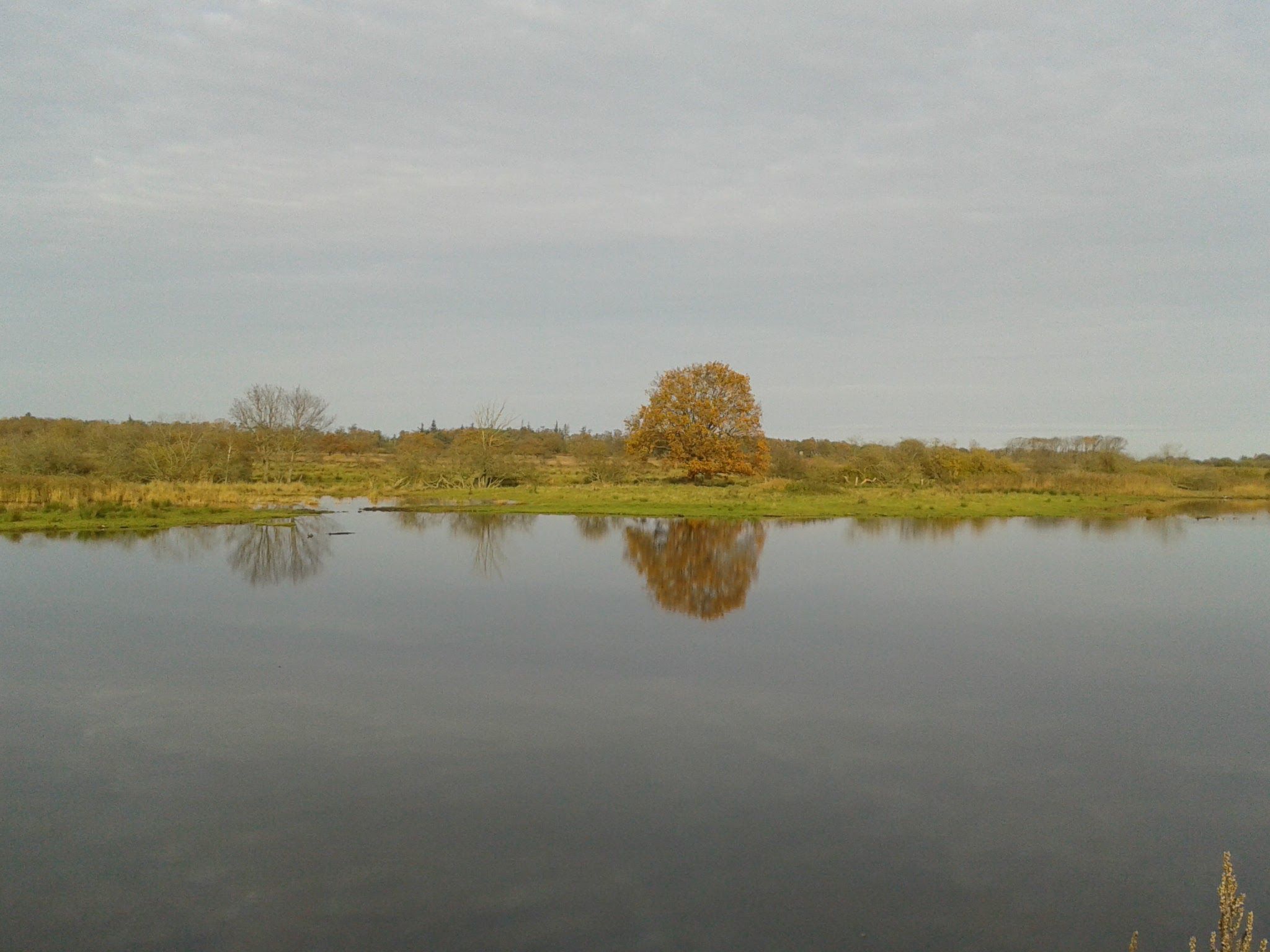 Vogelsang-Image-tags.info