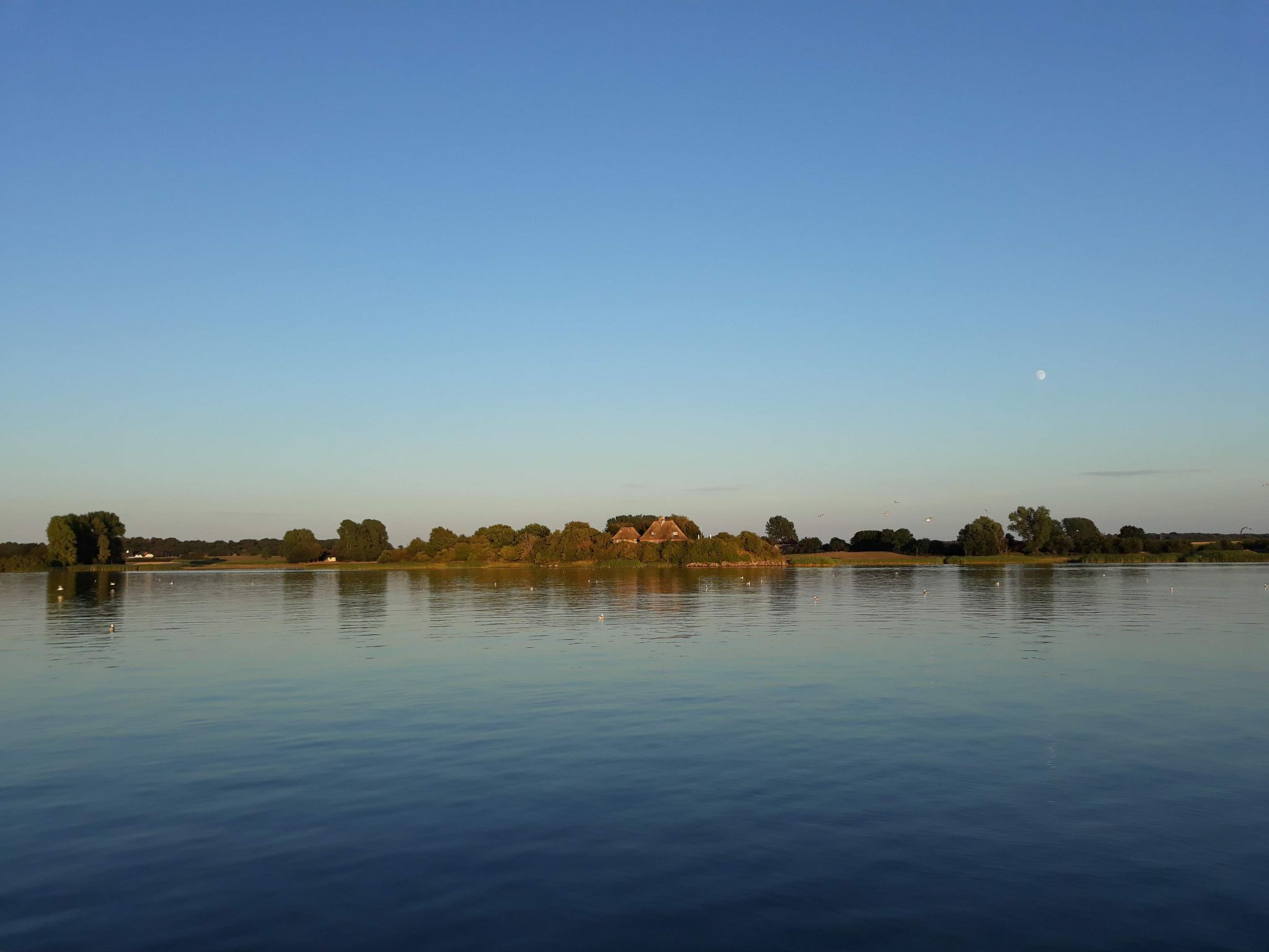 Vogelsang-Image-tags.info