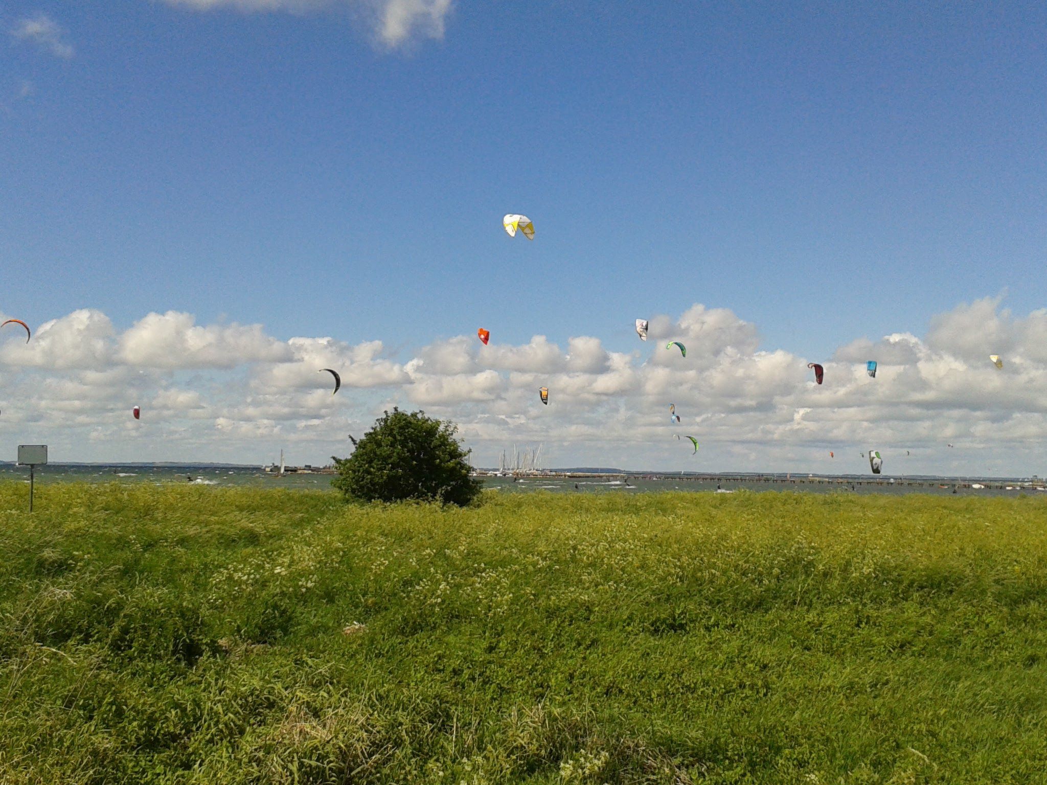 Vogelsang-Image-tags.info