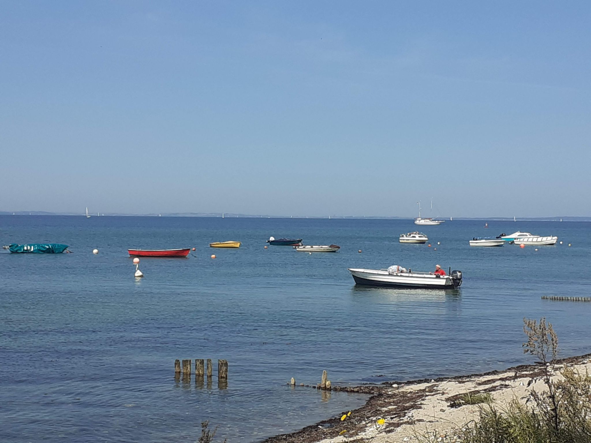 Vogelsang-Image-tags.info