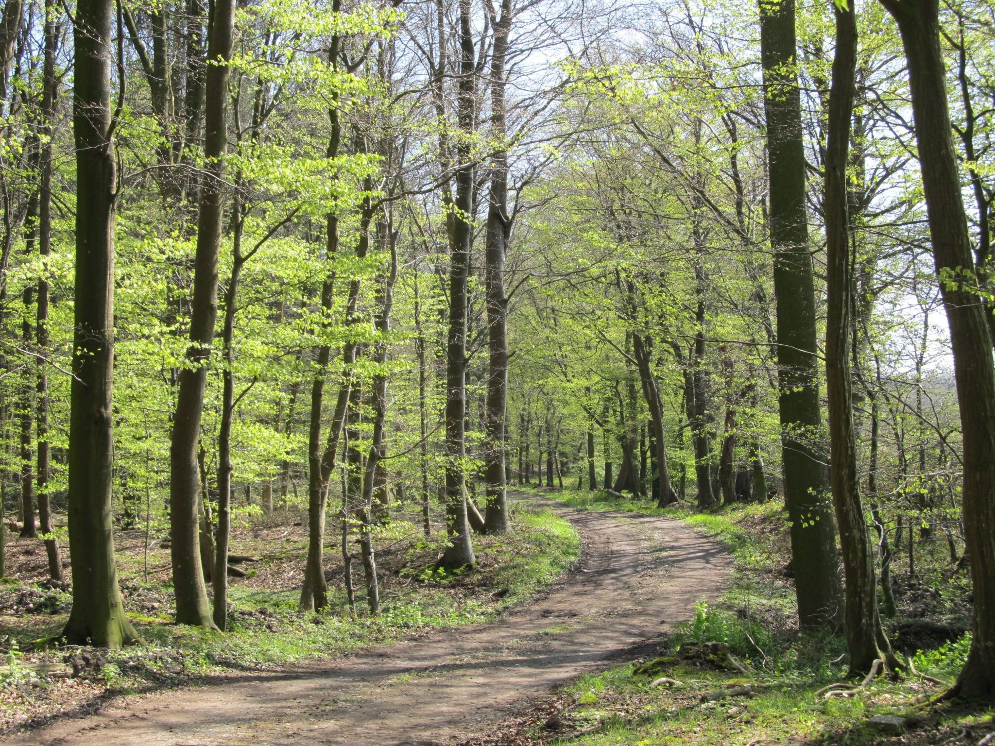 Vogelsang-Image-tags.info