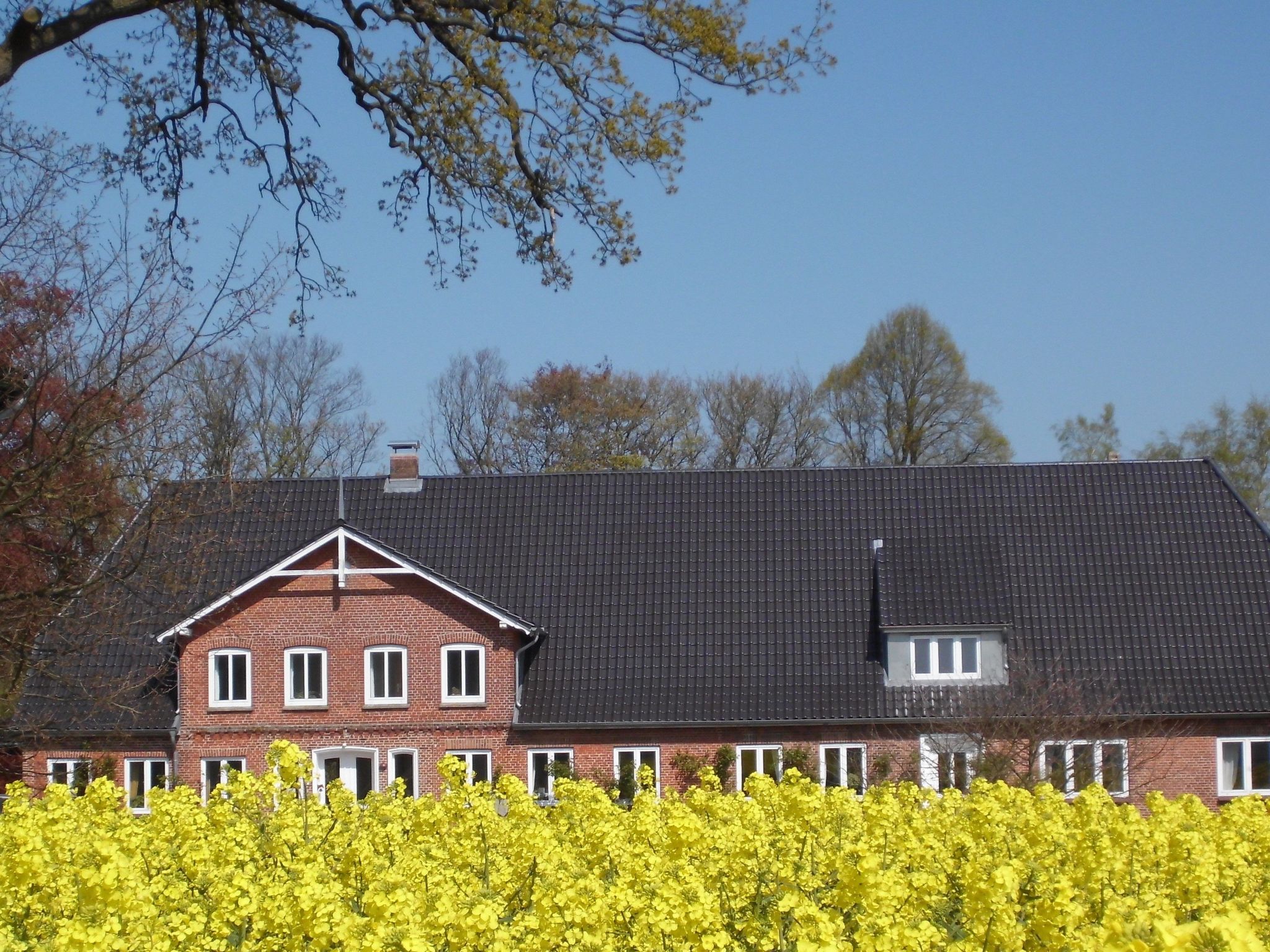 Vogelsang-Image-tags.info