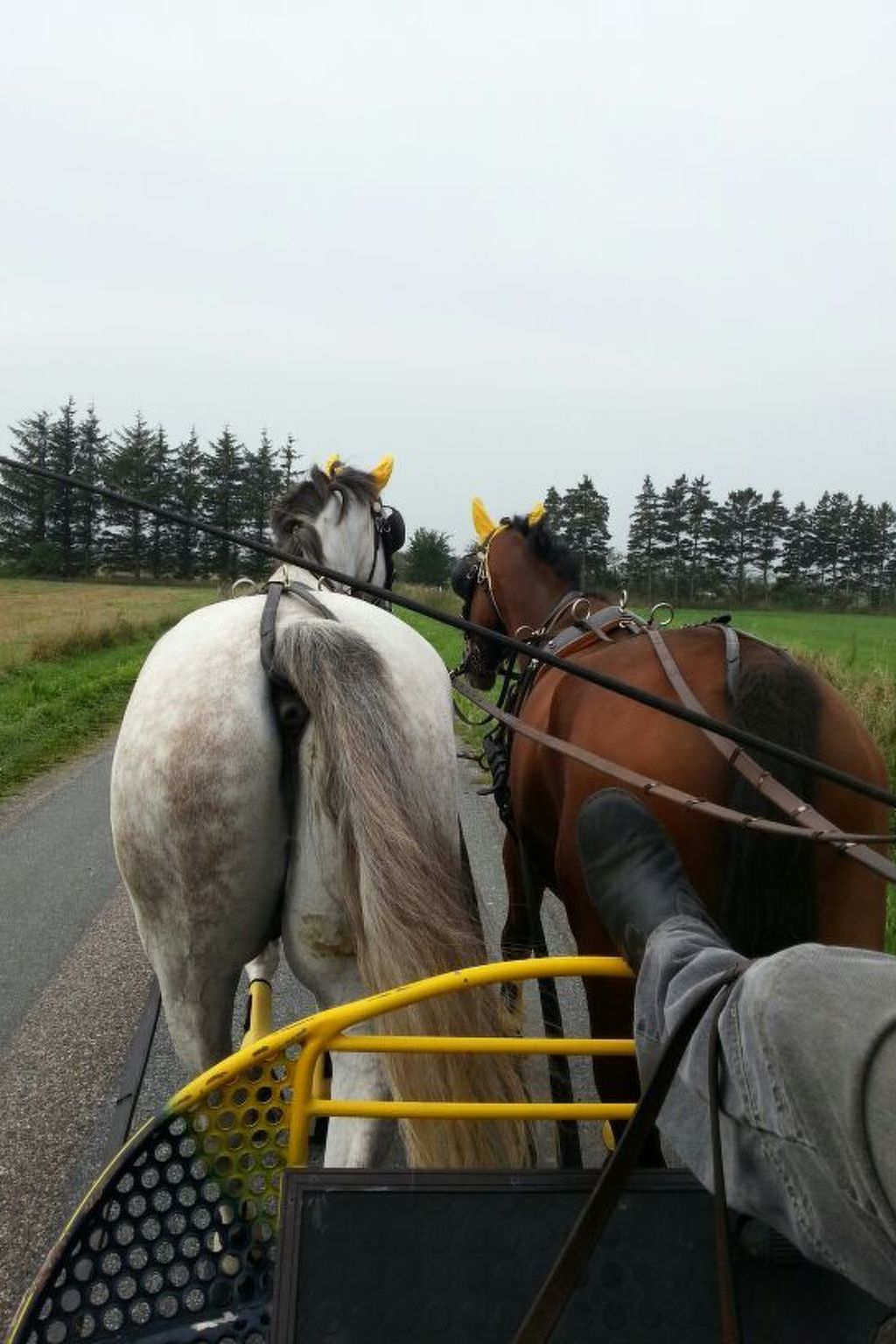 Westrich in guter Ausflugslage-Binnen
