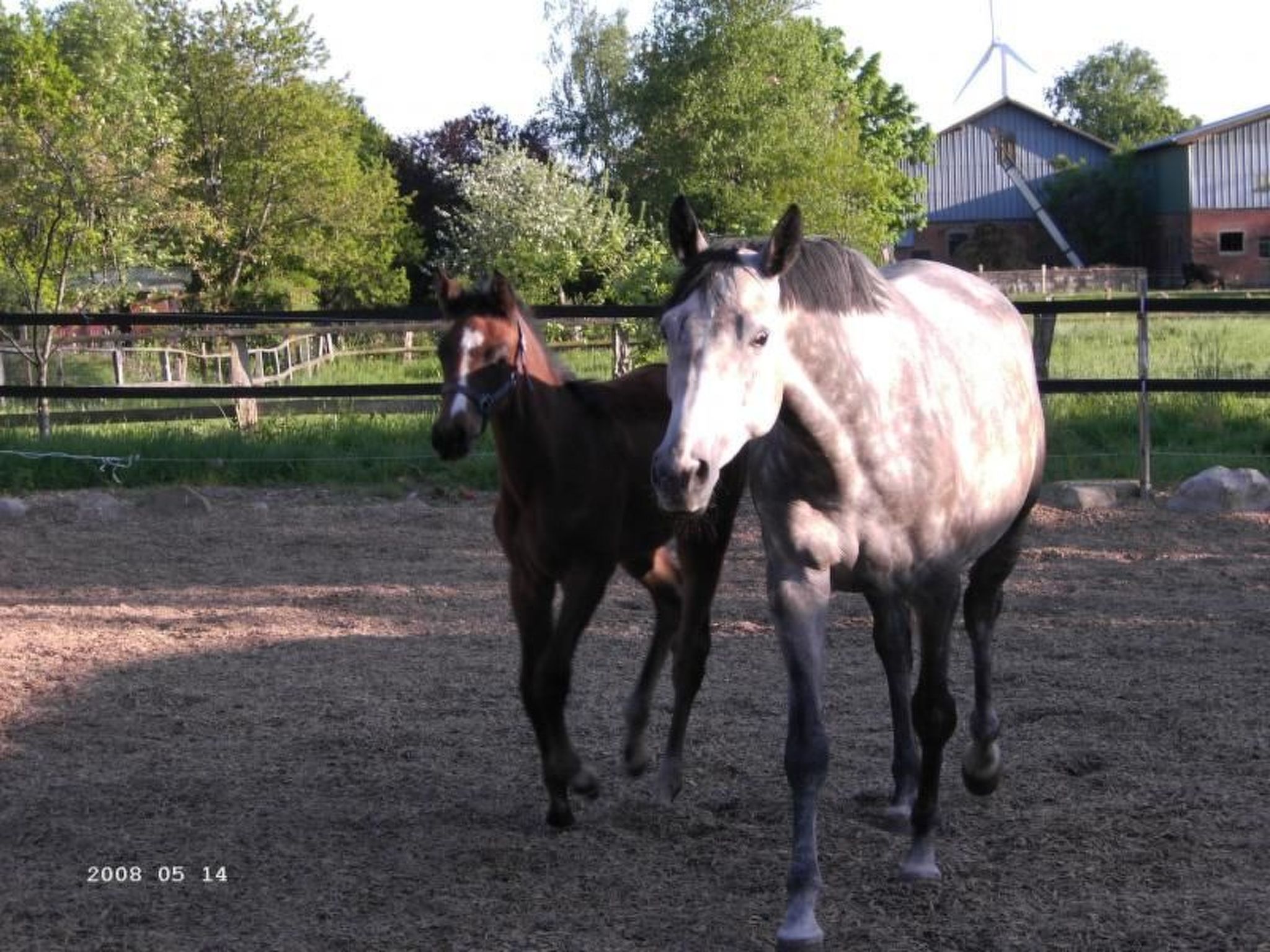 Westrich in guter Ausflugslage-Binnen