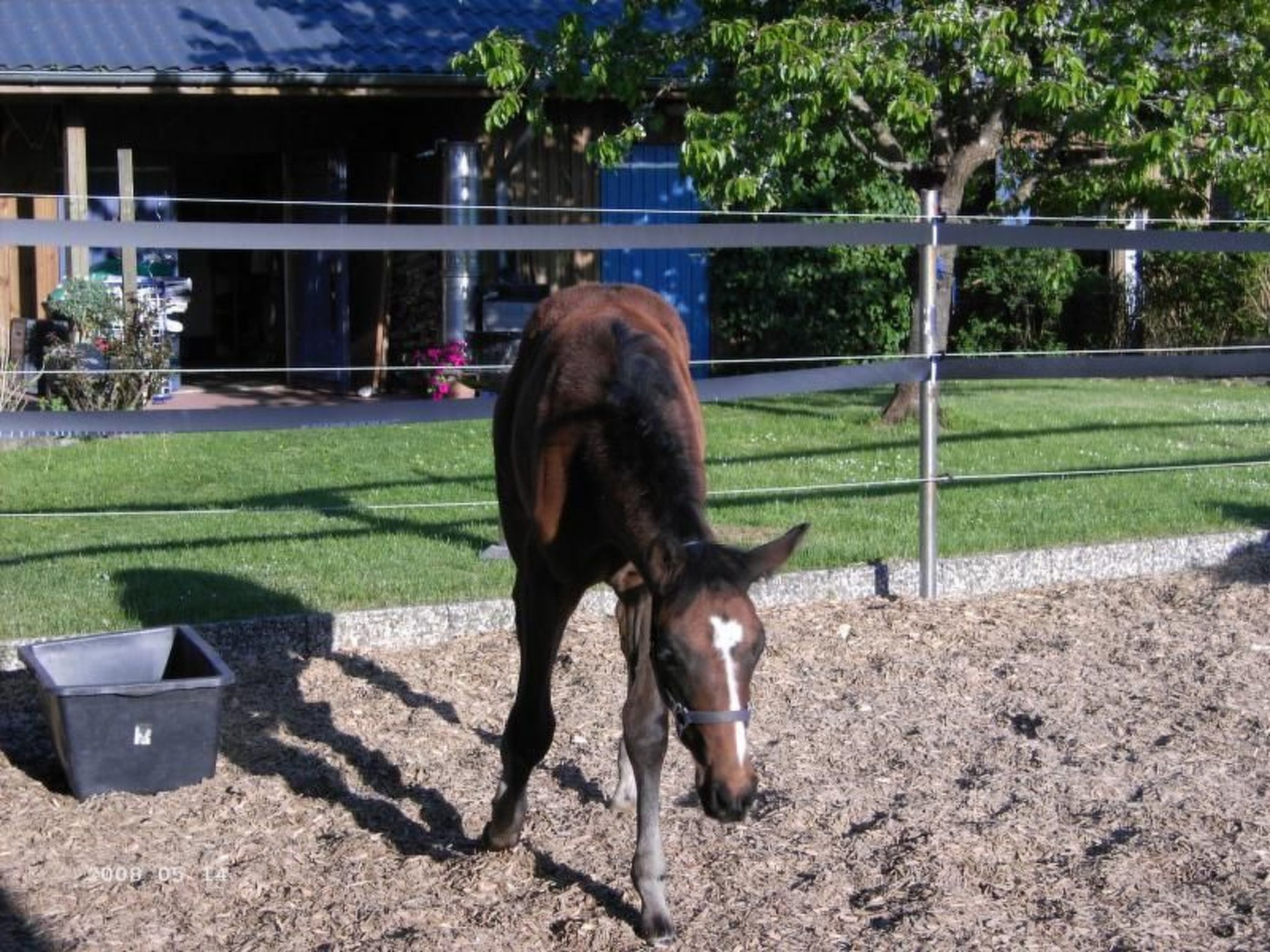 Westrich in guter Ausflugslage-Binnen