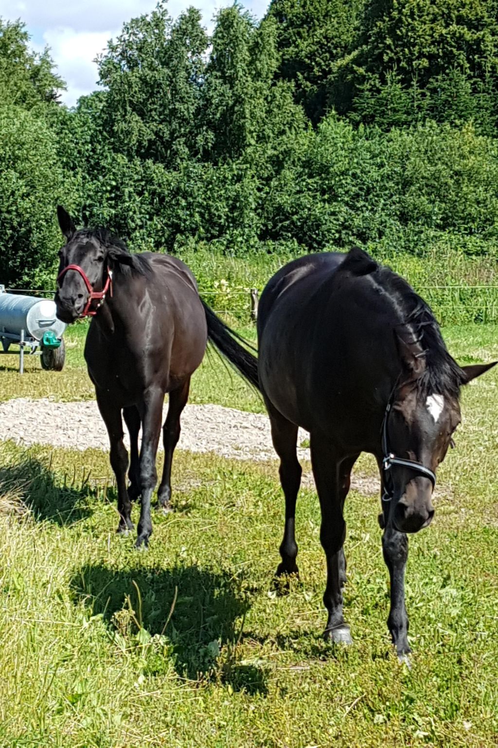 Westrich in guter Ausflugslage-Binnen