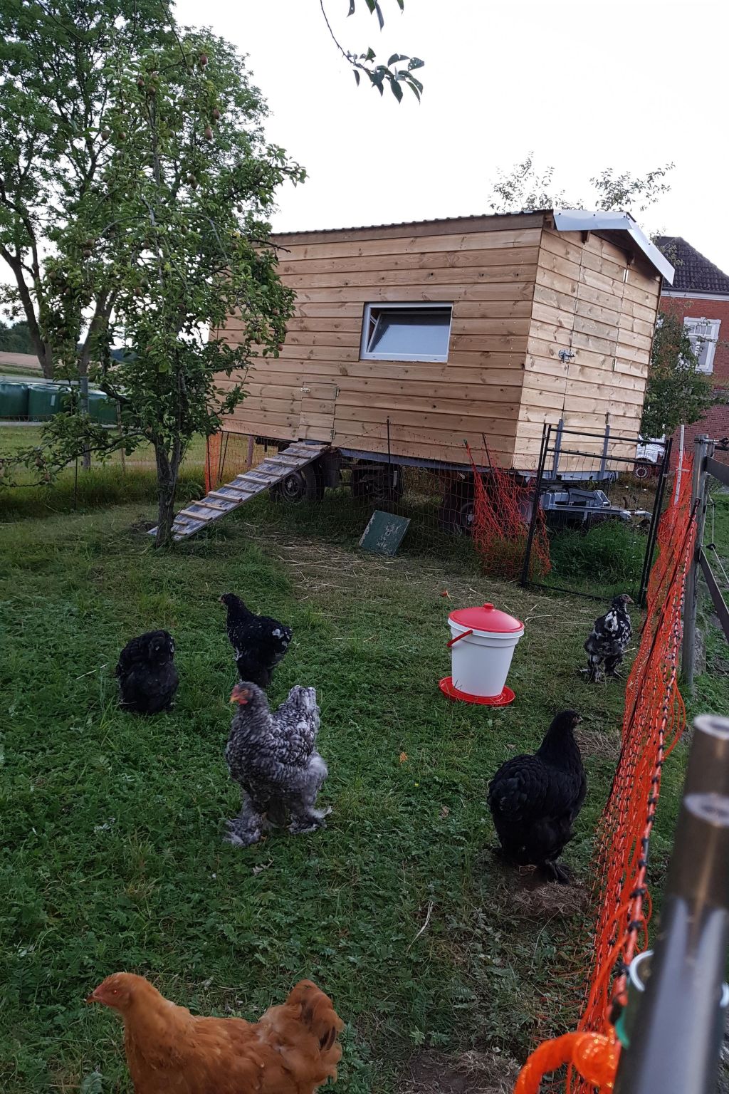 Westrich in guter Ausflugslage-Binnen