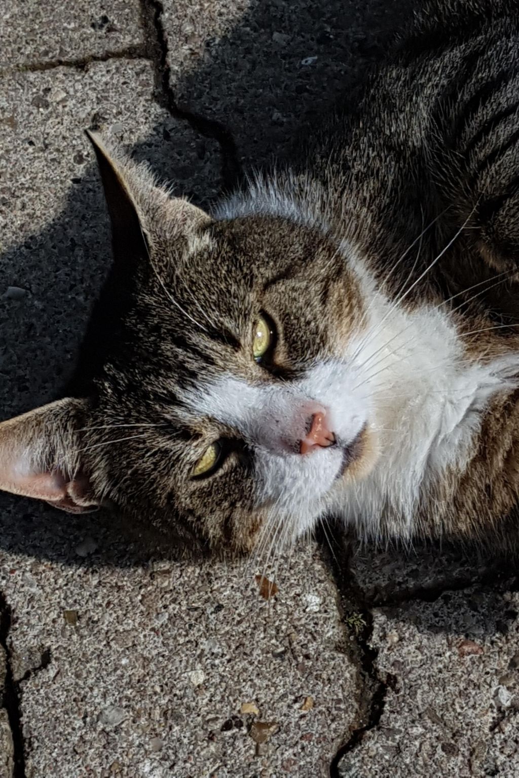 Westrich in guter Ausflugslage