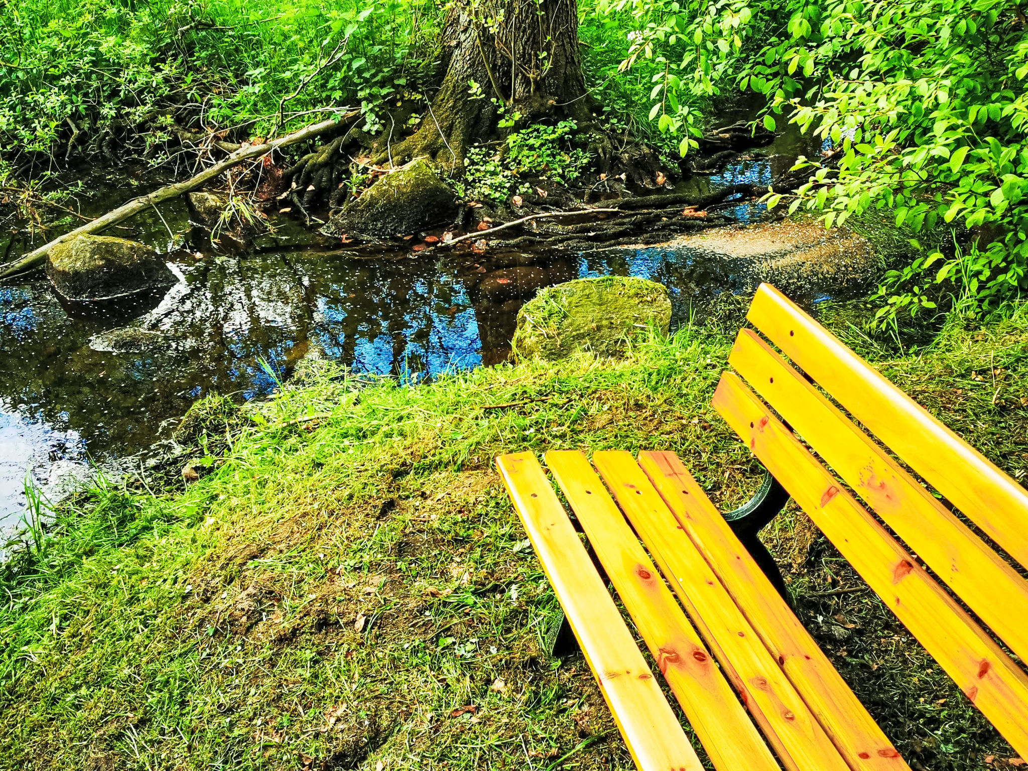 Wohnung in Oberselk mit Garten und Grill - Buiten