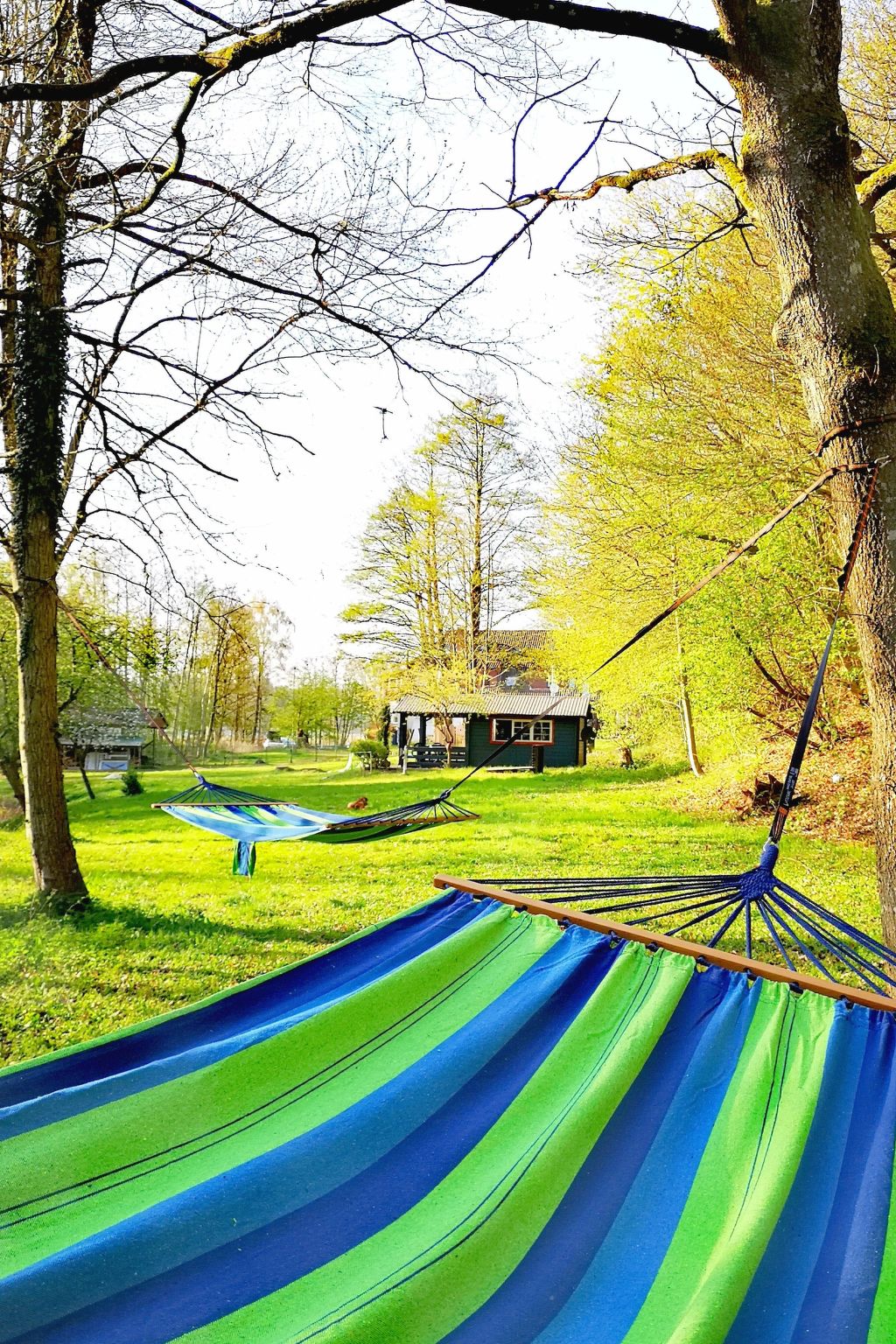 Wohnung in Oberselk mit Garten und Grill - Buiten