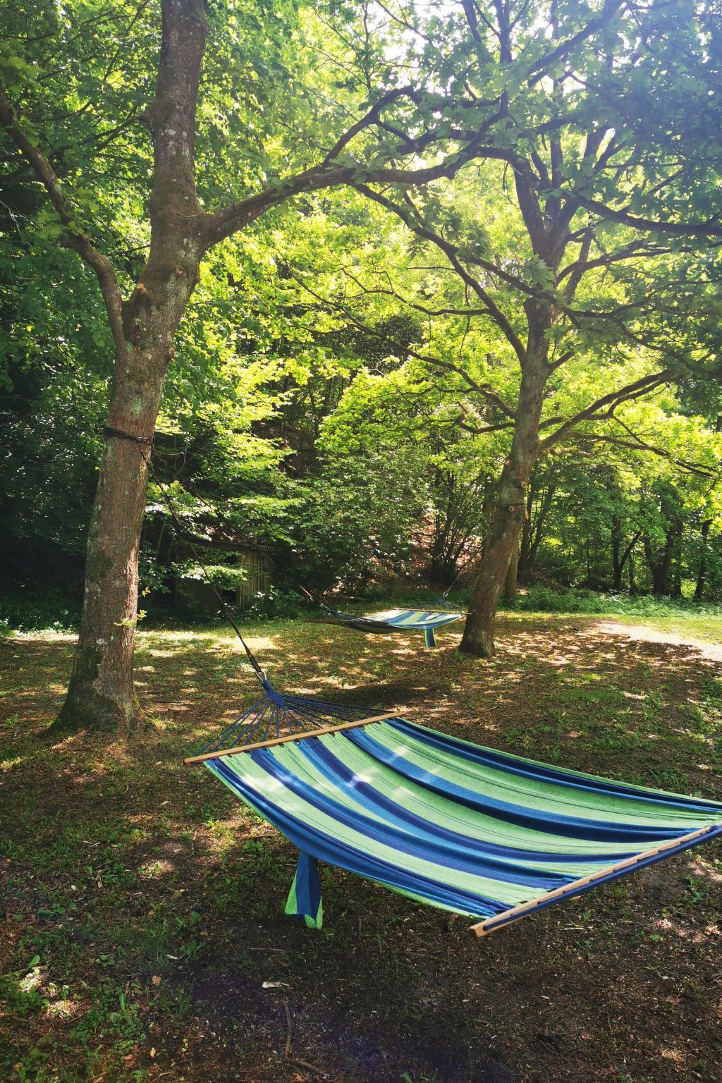 Wohnung in Oberselk mit Garten und Grill - Buiten