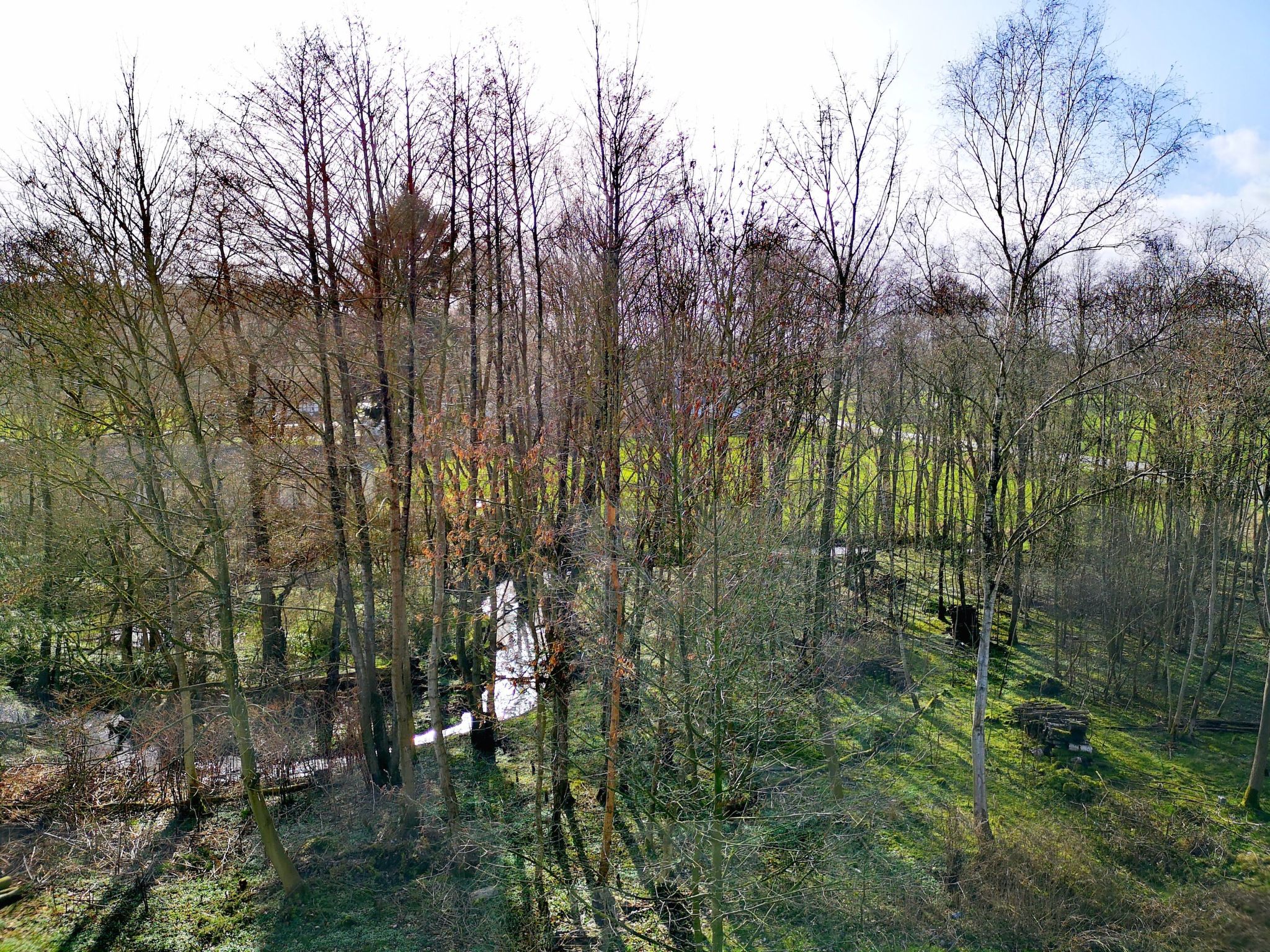 Apartment Naturpark-Image-tags.info