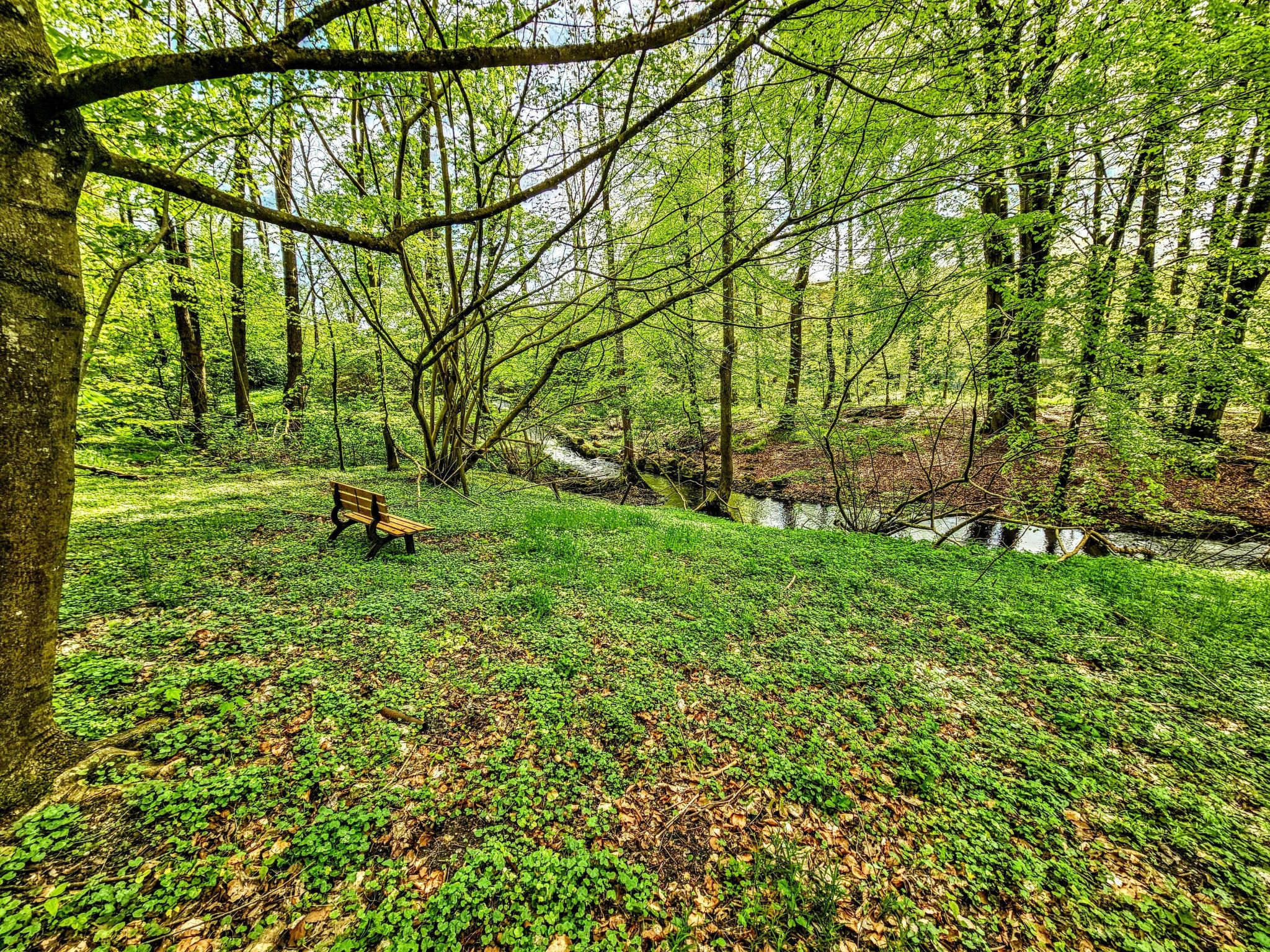 Apartment Naturpark-Image-tags.info