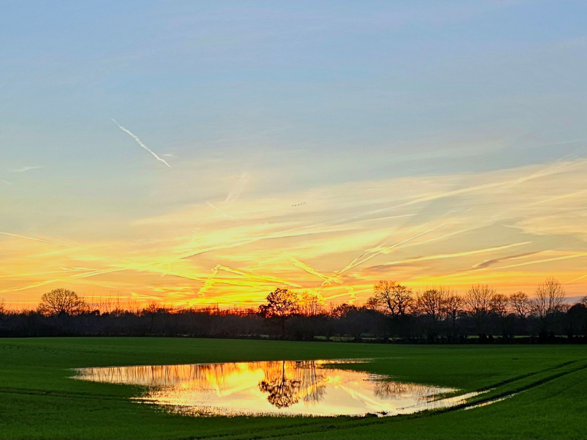 Apartment Naturpark-Image-tags.info