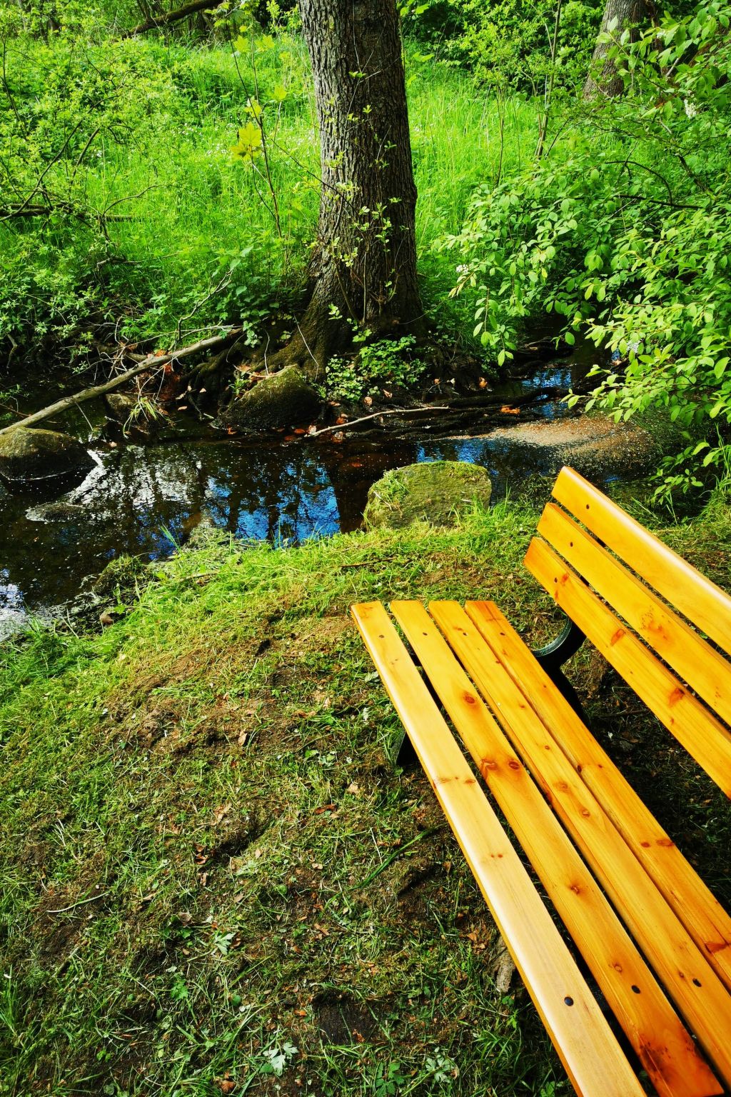 Apartment Naturpark-Image-tags.info