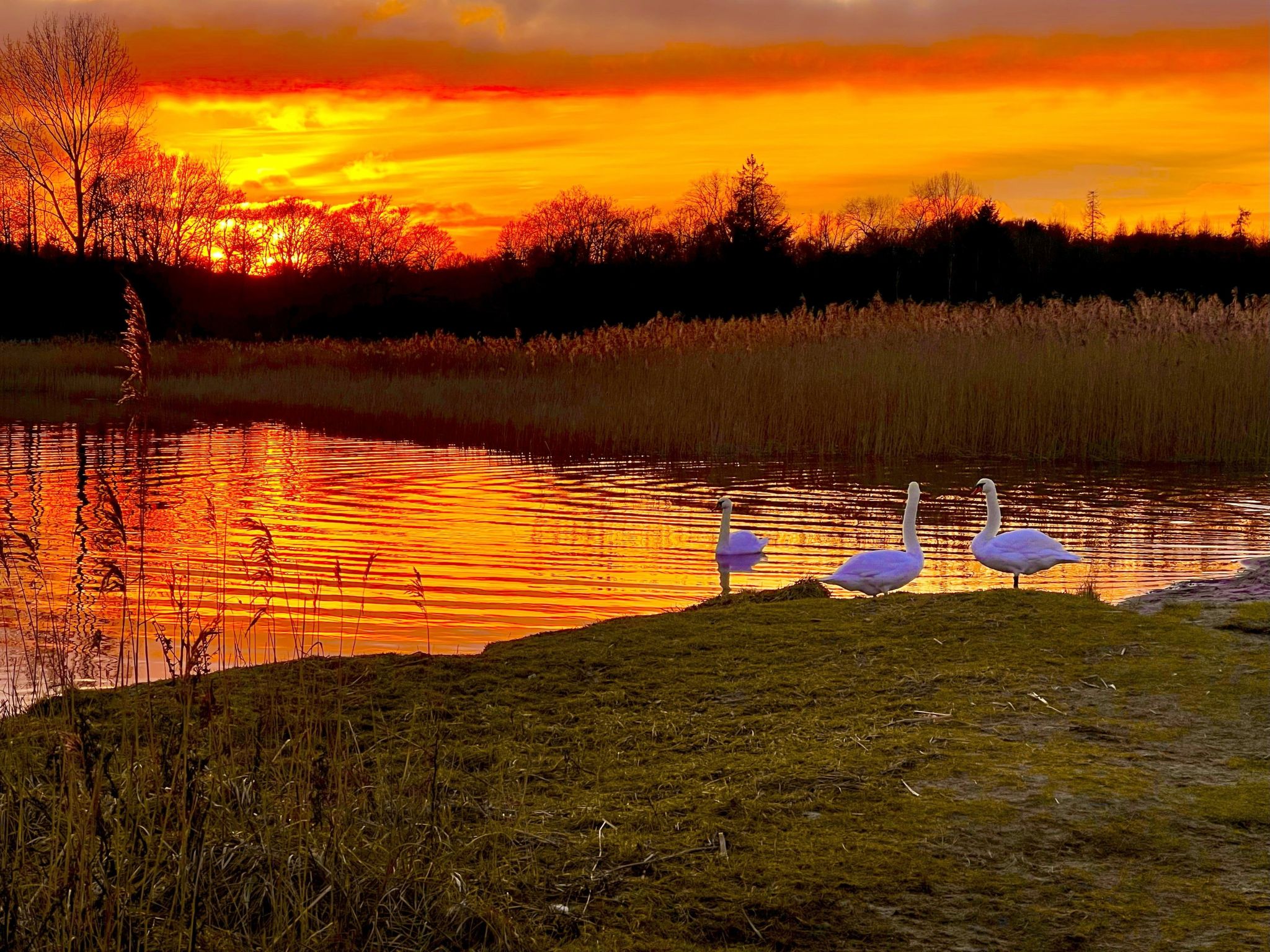 Apartment Naturpark-Image-tags.info