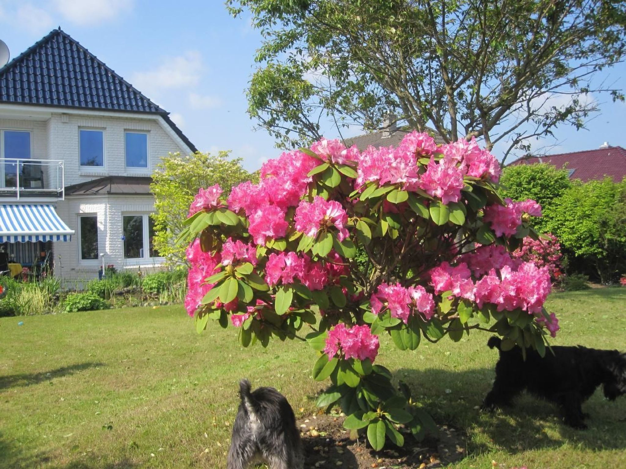 Landhaus am See-Binnen