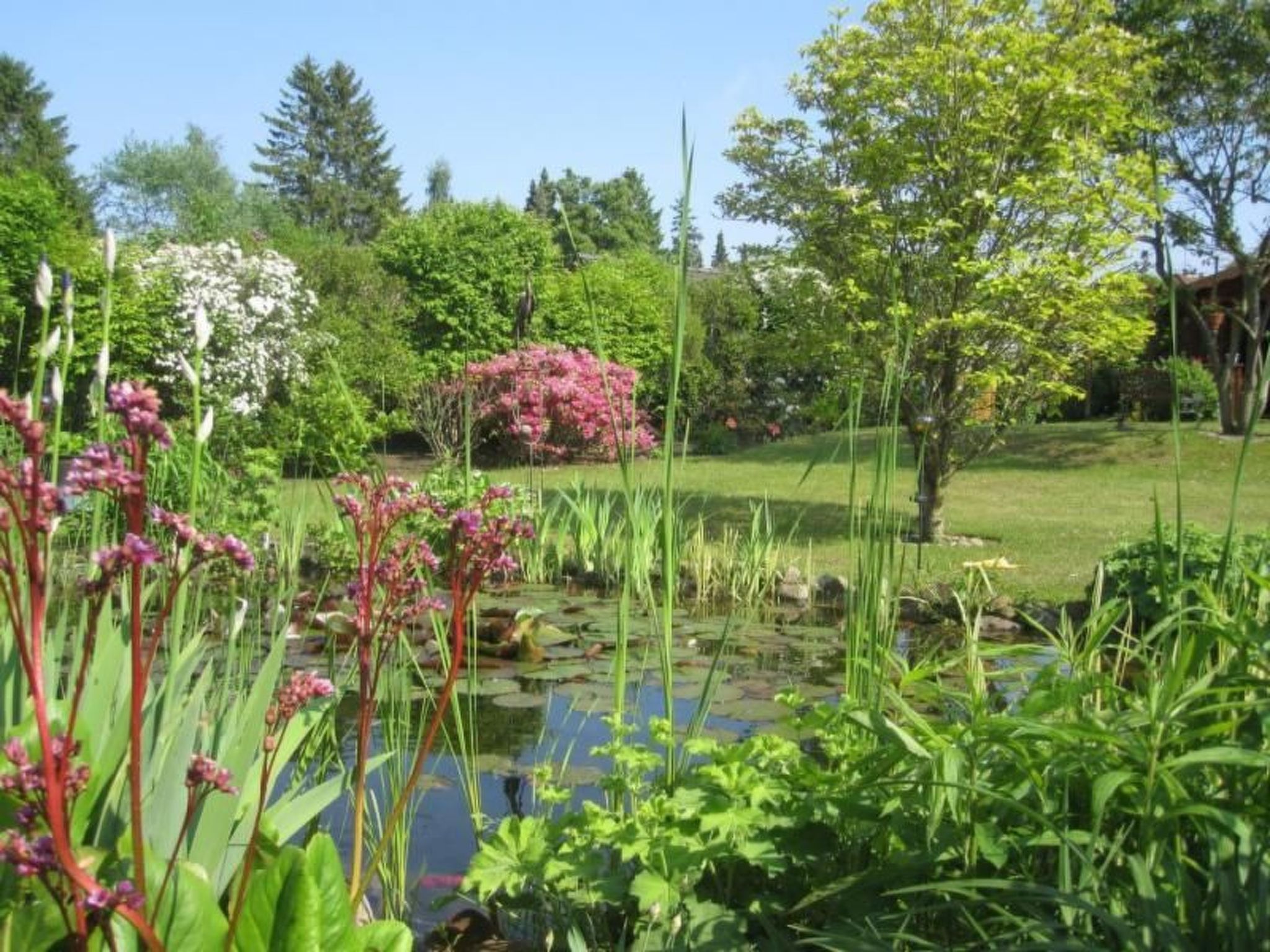 Landhaus am See-Drinnen