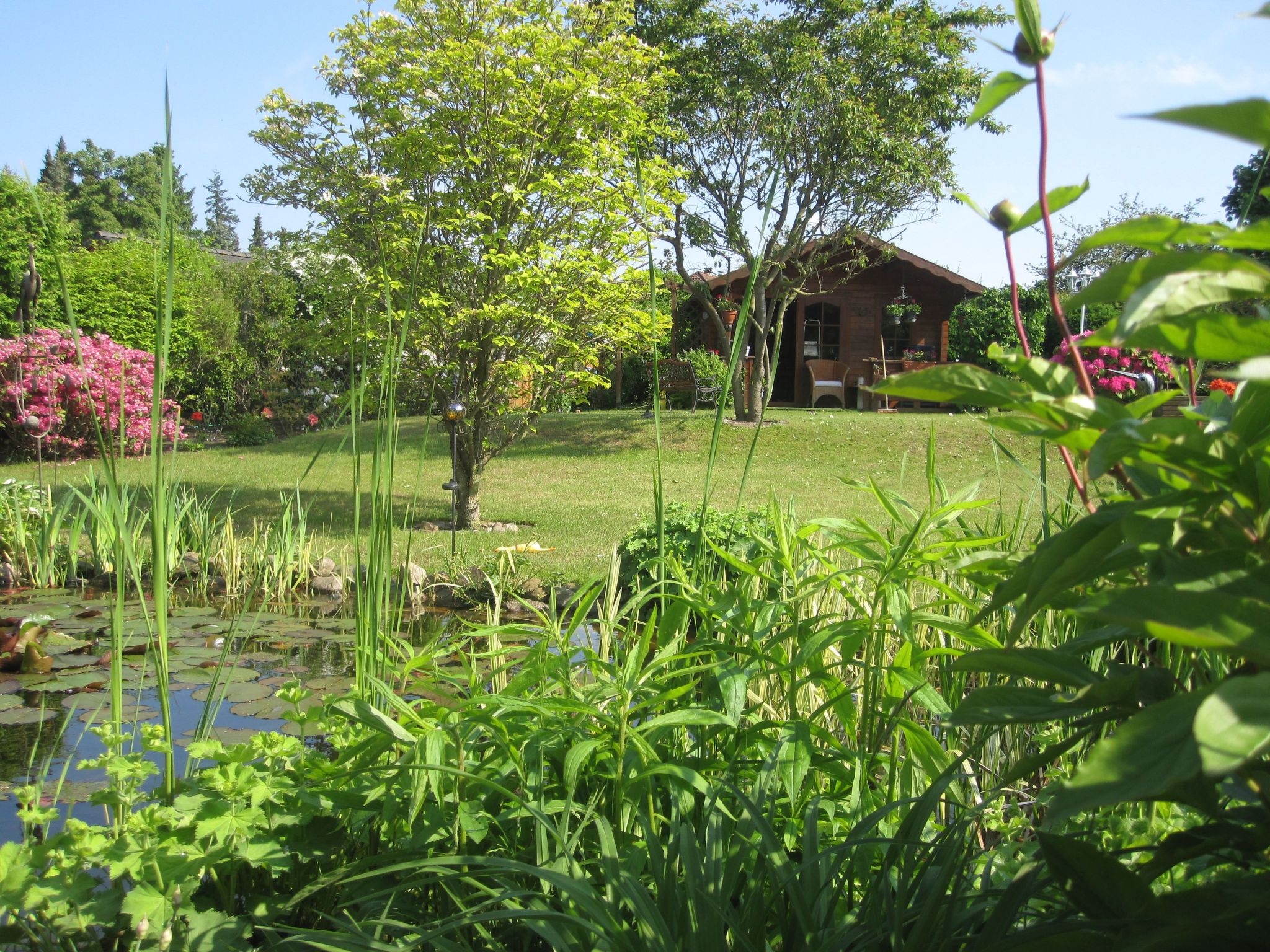 Landhaus am See-Drinnen