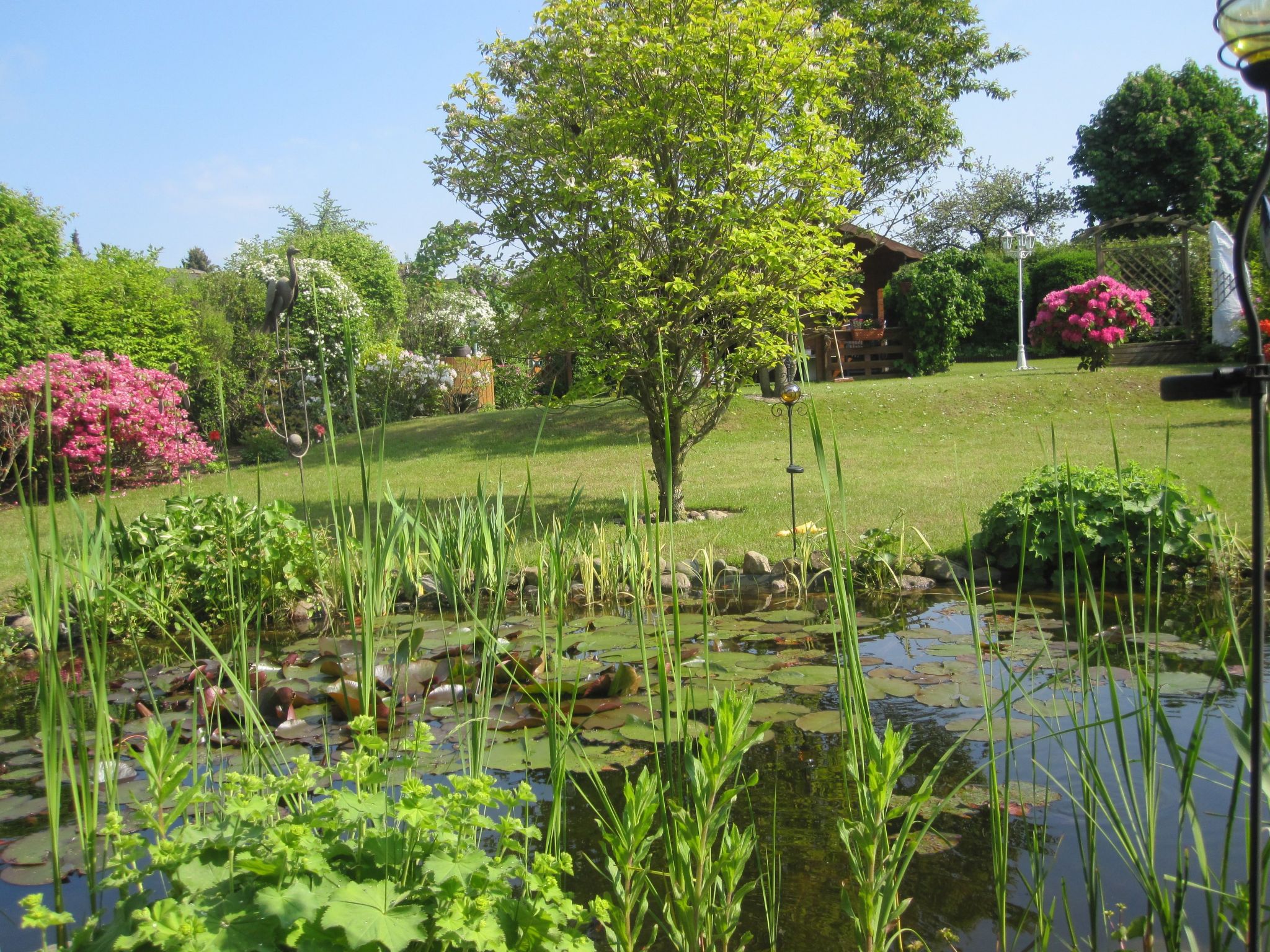 Landhaus am See-Drinnen