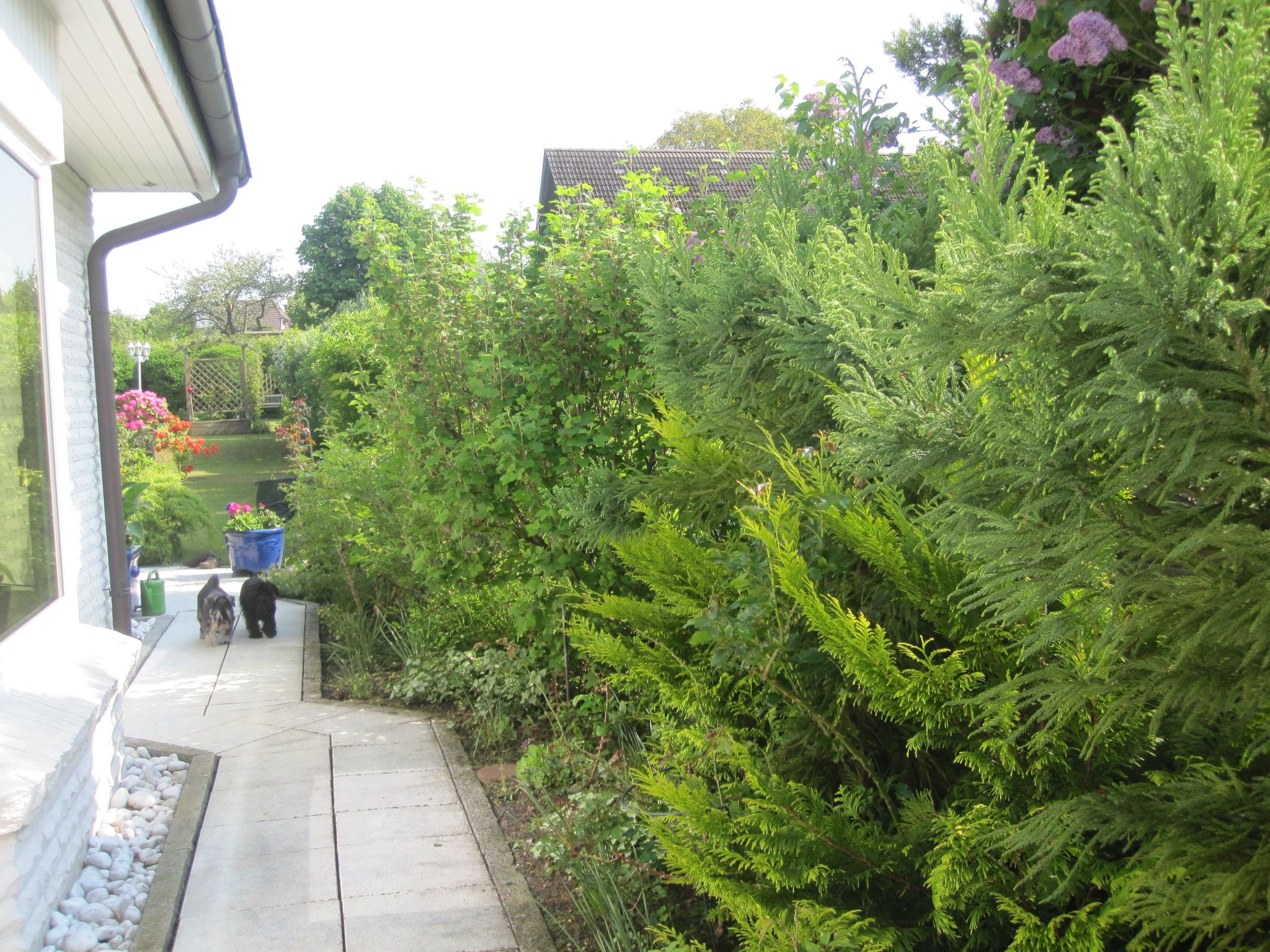 Landhaus am See-Drinnen