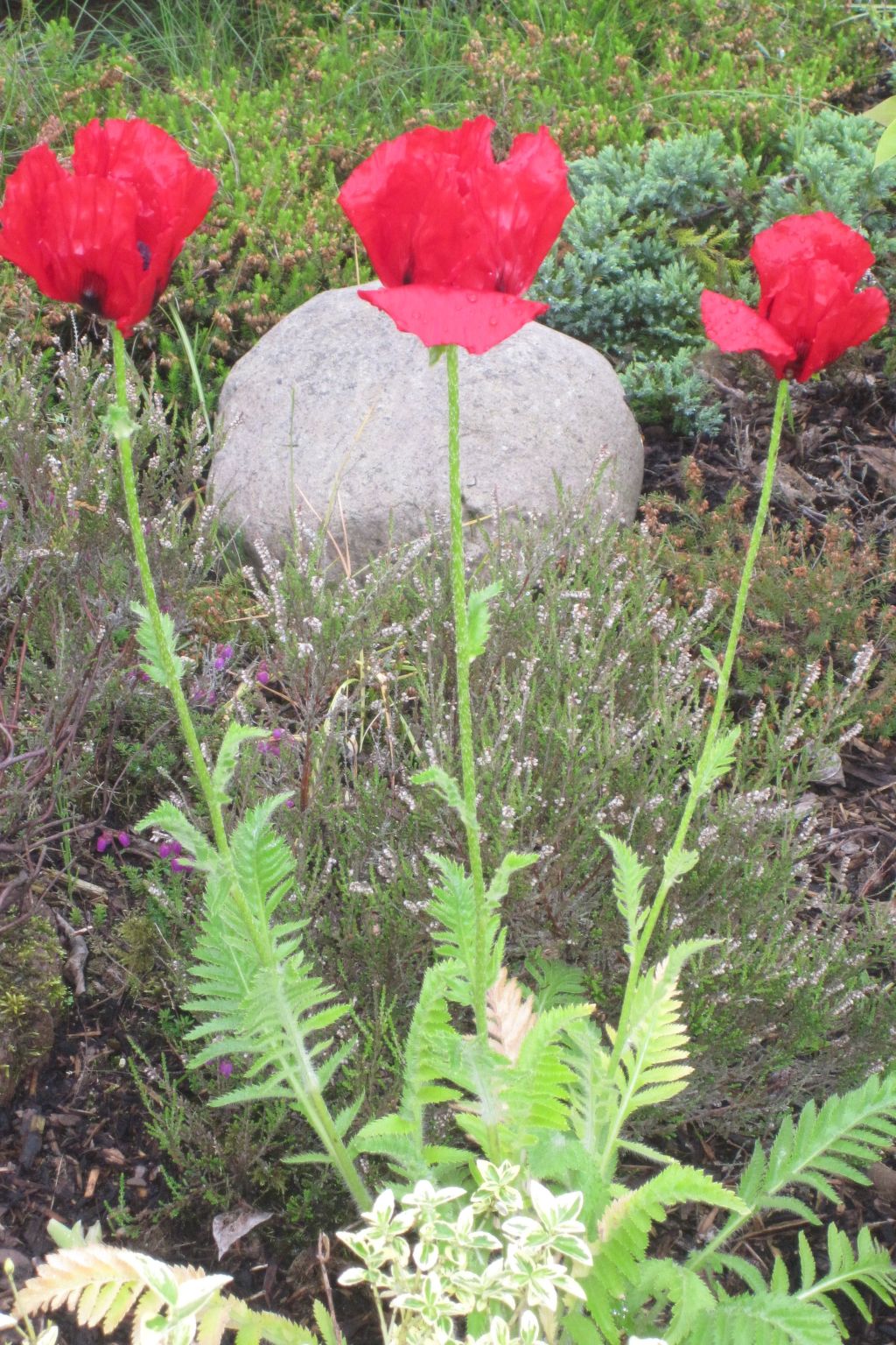 Landhaus am See-Drinnen