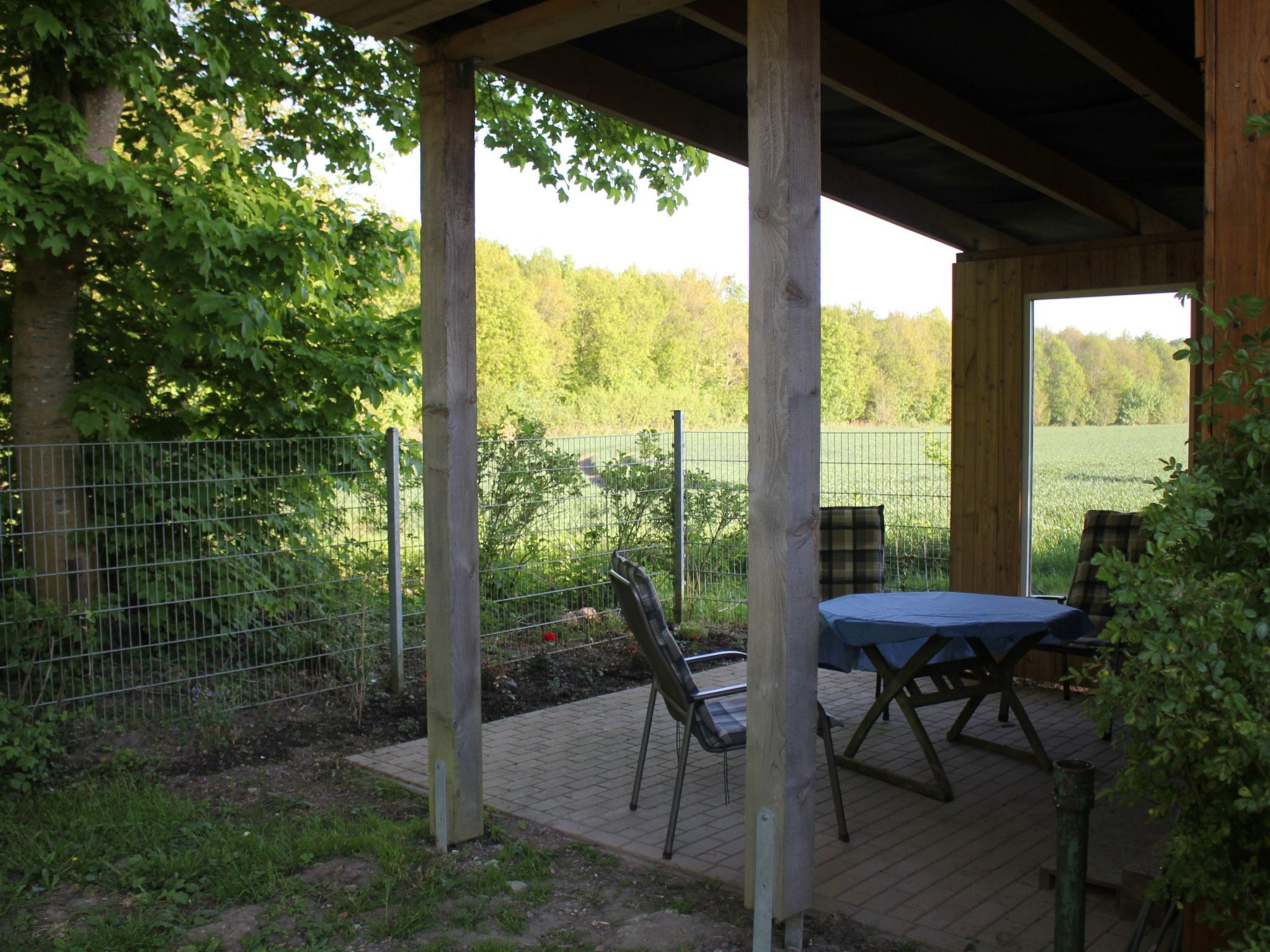 Waldrand in Ascheffel-Binnen