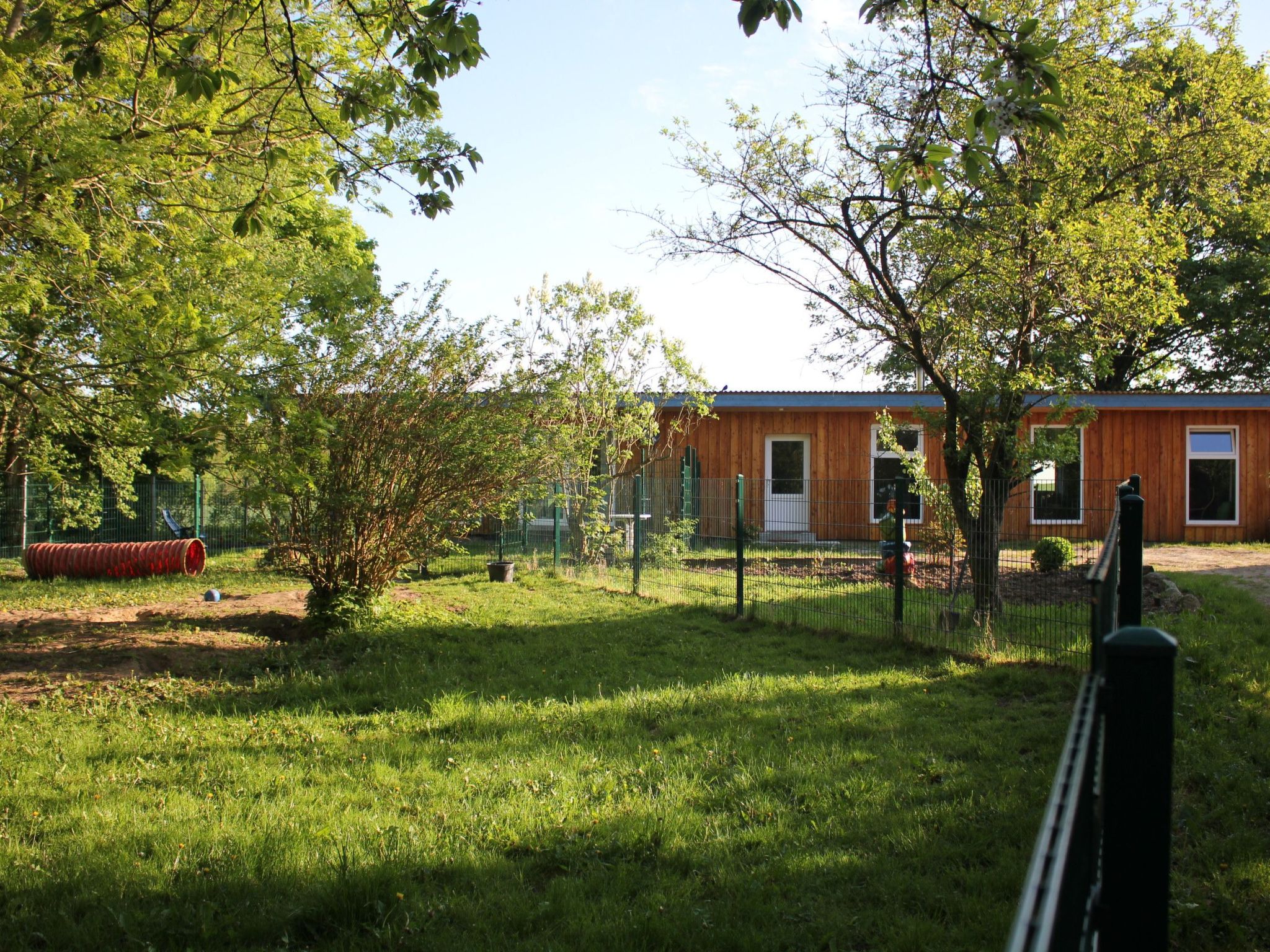 Waldrand in Ascheffel-Binnen