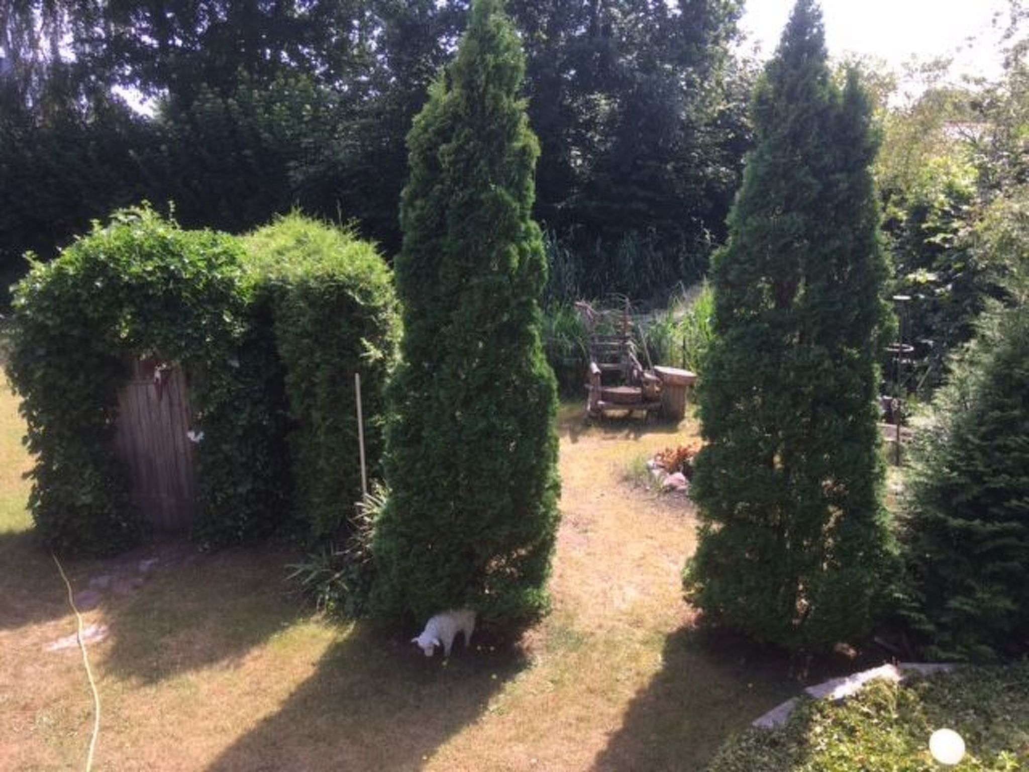 Modernisierte Ferienwohnung mit Balkon-Dedans