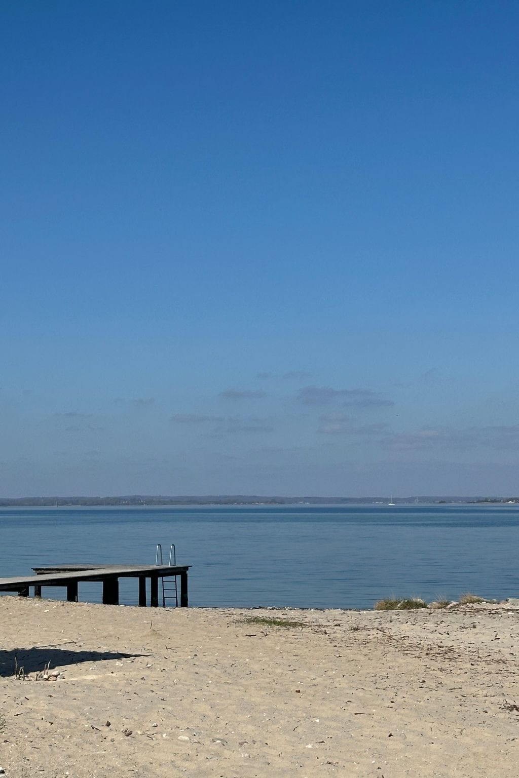 Thalassohaus-Image-tags.info