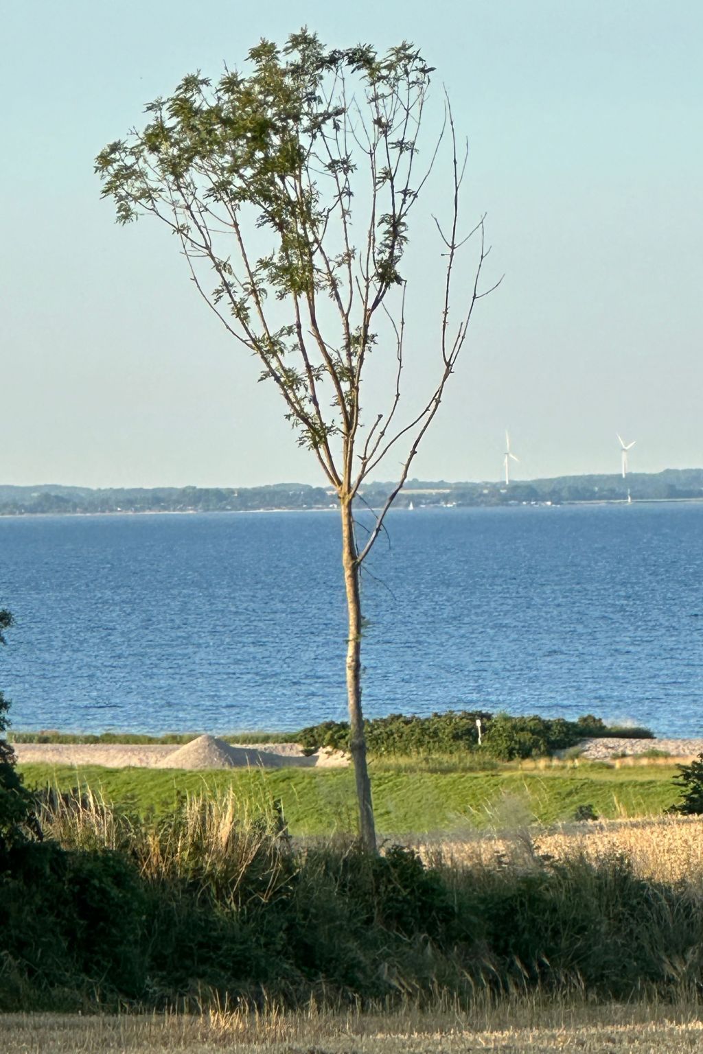 Thalassohaus-Image-tags.info