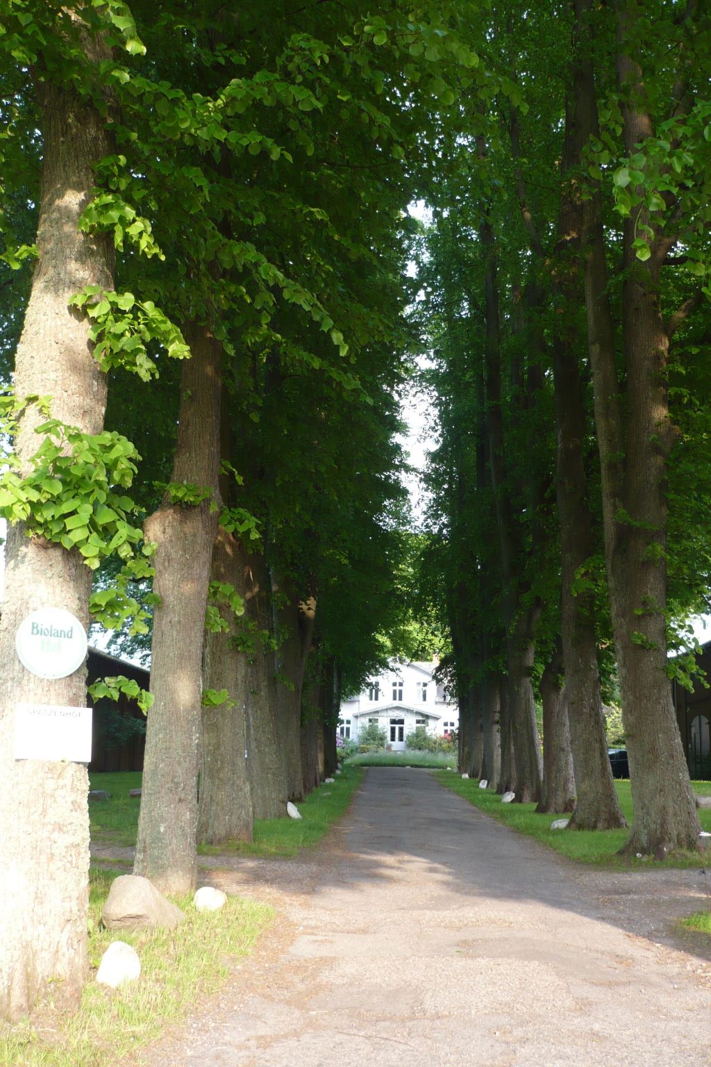 Gutshofambiente 1-Binnen