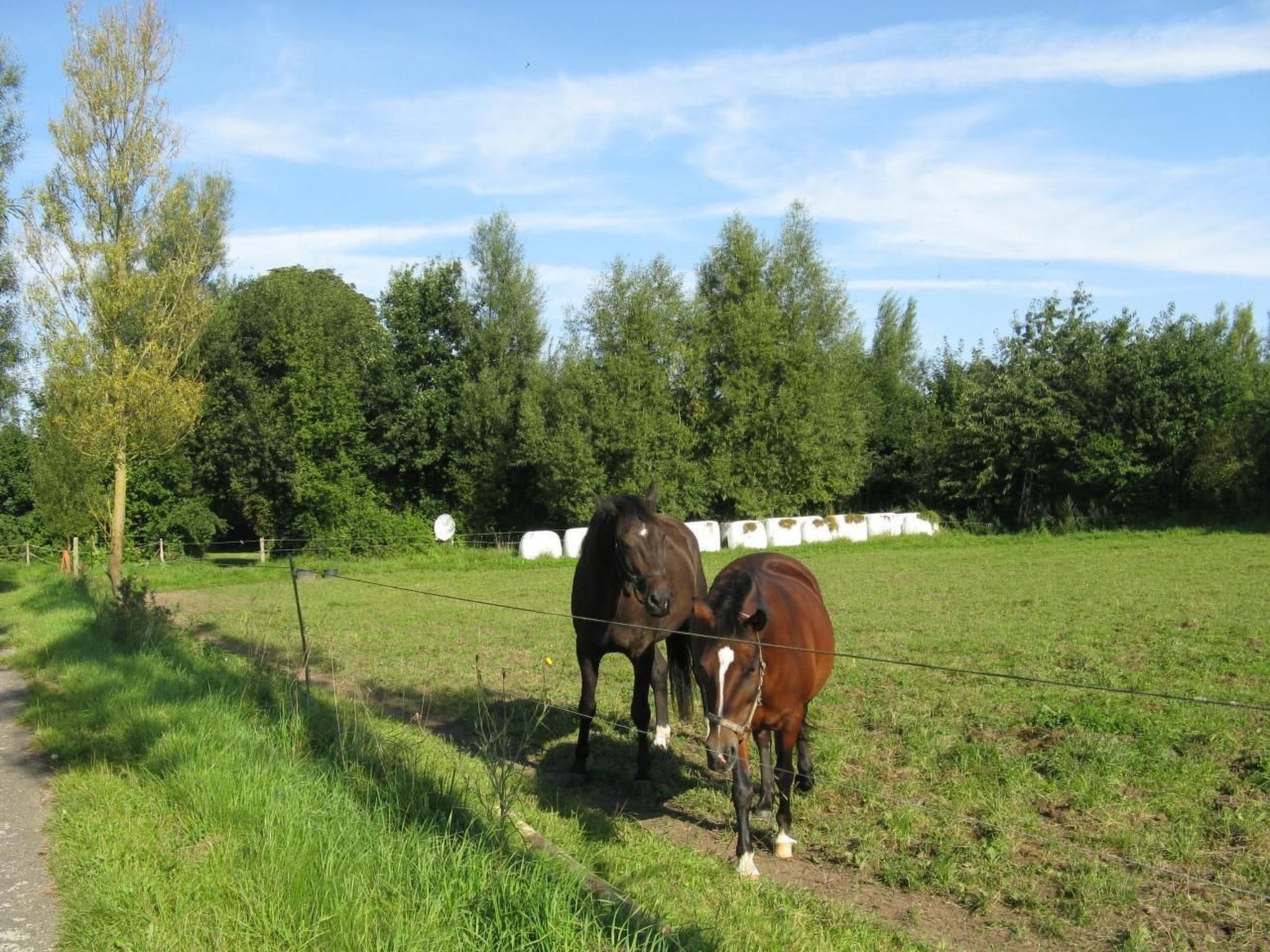 Gutshof-Ambiente 5-Binnen