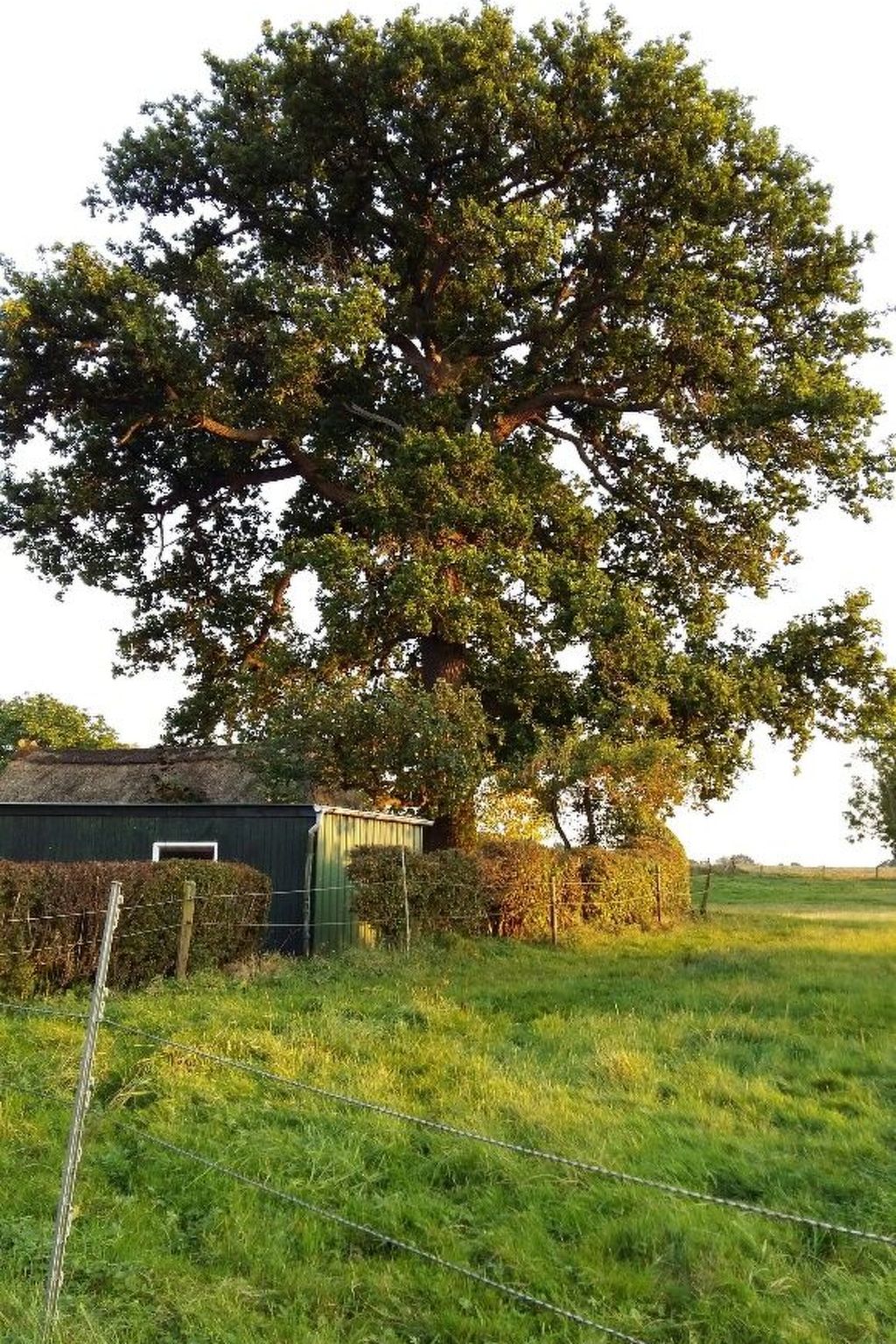 Familienfreundliches Einfamilienhaus "Adrian"-Dehors