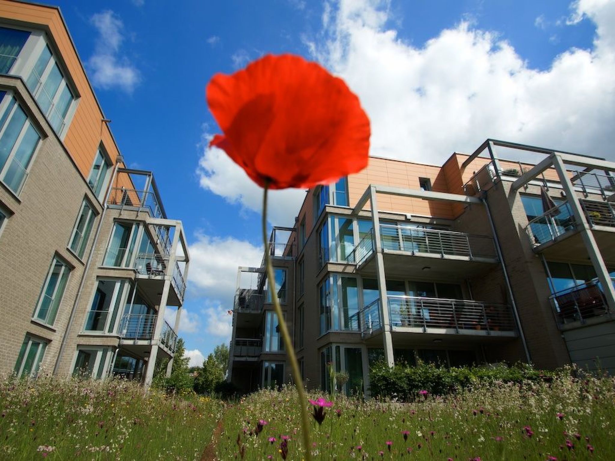 In Alt Travemünde-Binnen