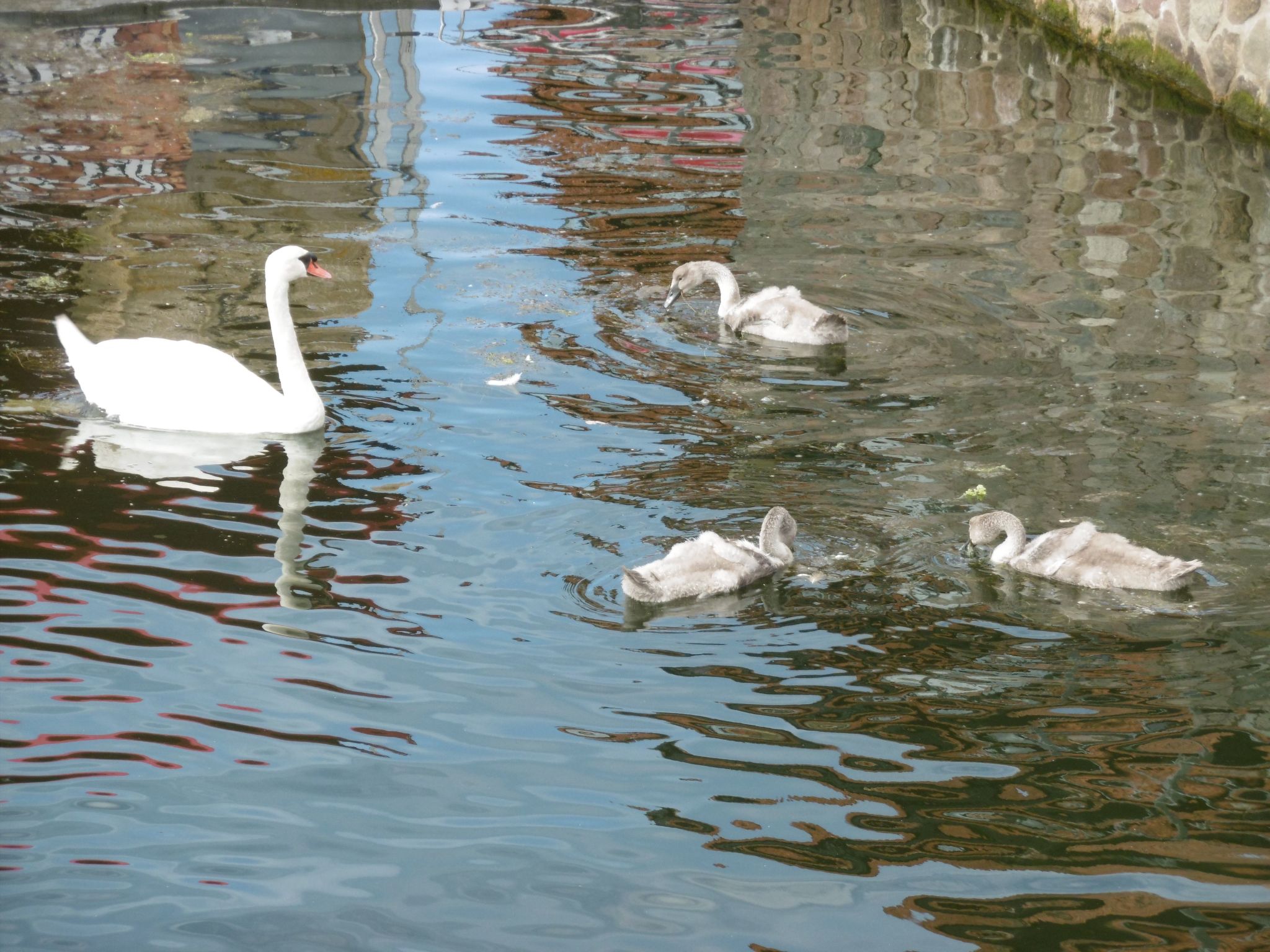 In Alt Travemünde-Binnen