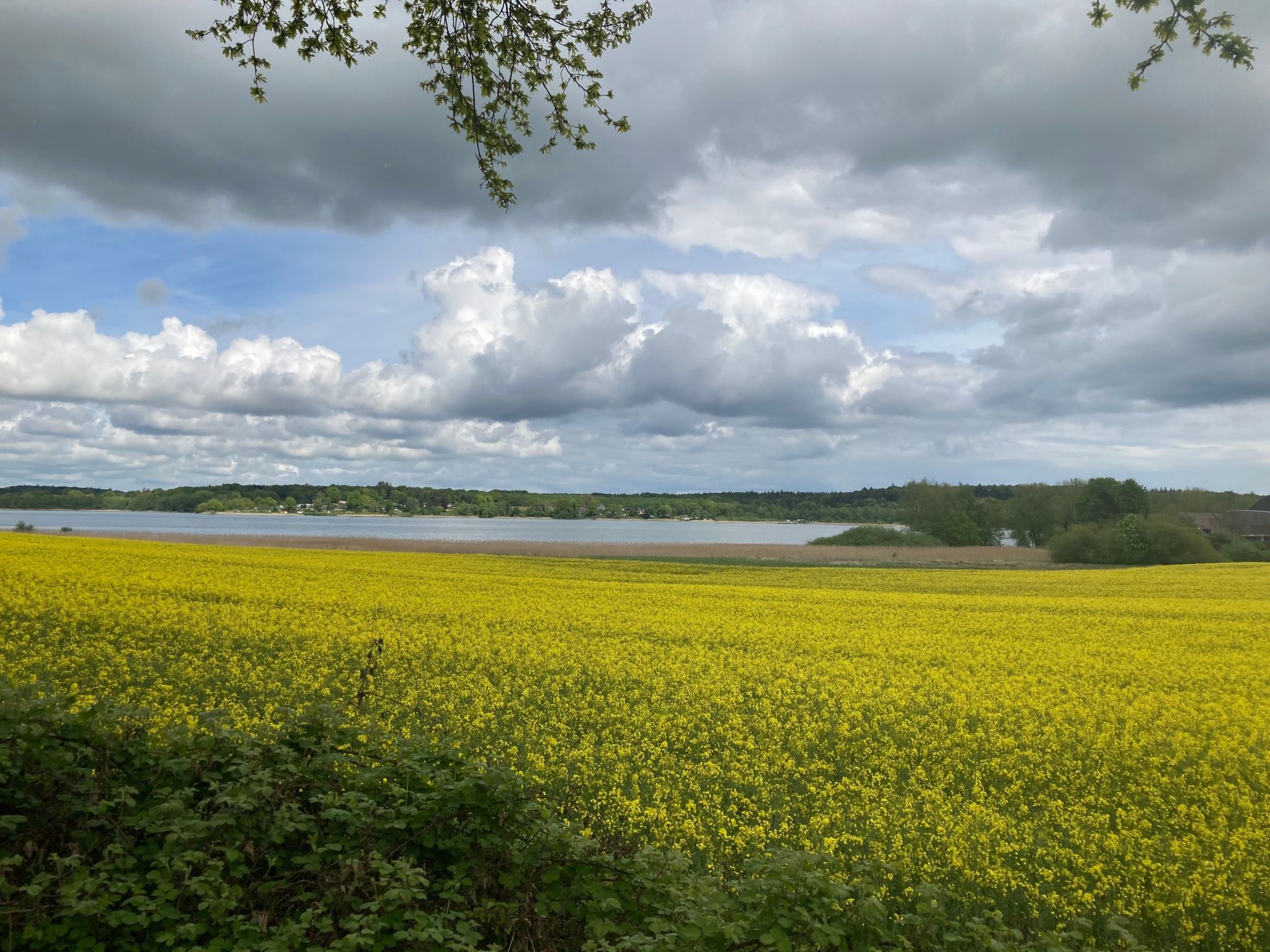 In Klingberg mit Seeblick-Binnen