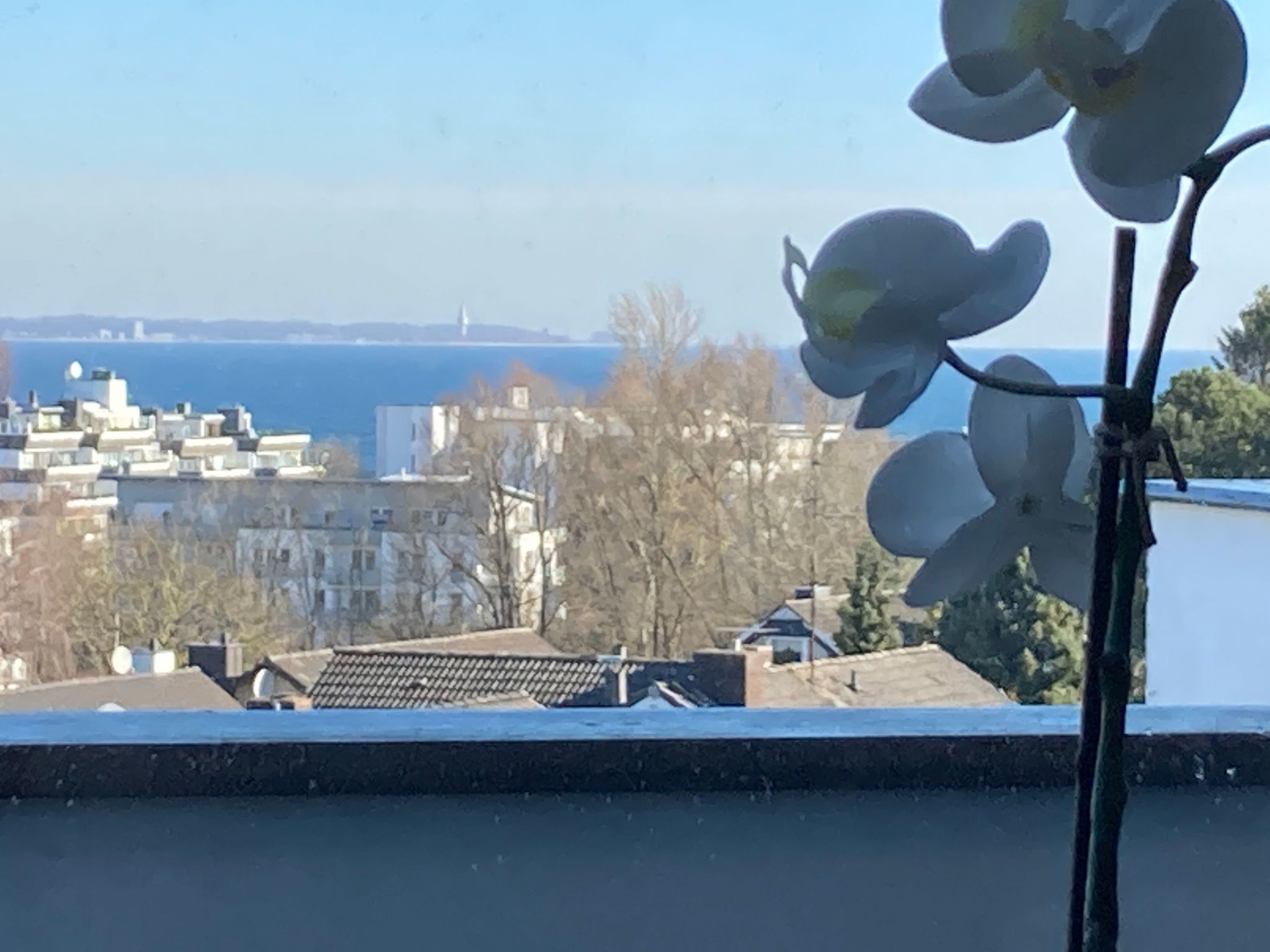 Gesamte Wohnung in Scharbeutz mit Großem Garten-Image-tags.info